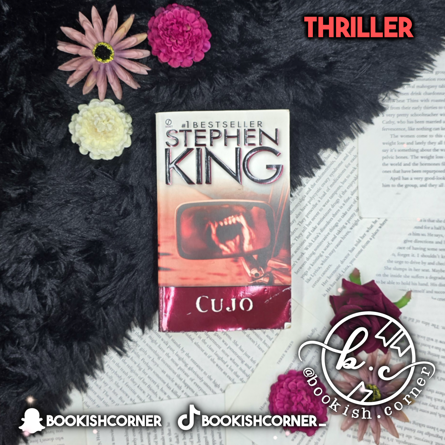Cujo By Stephen King