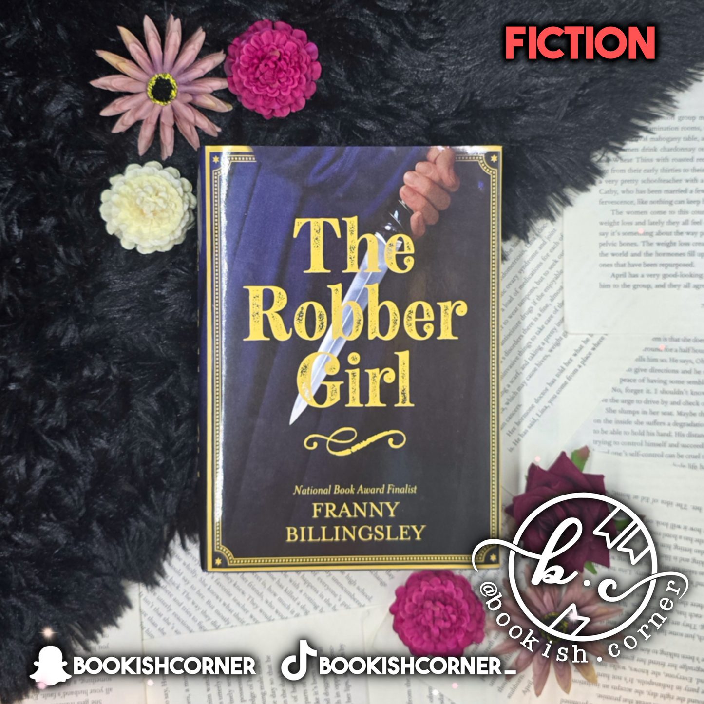 The Robber Girl By Franny Billingsley
