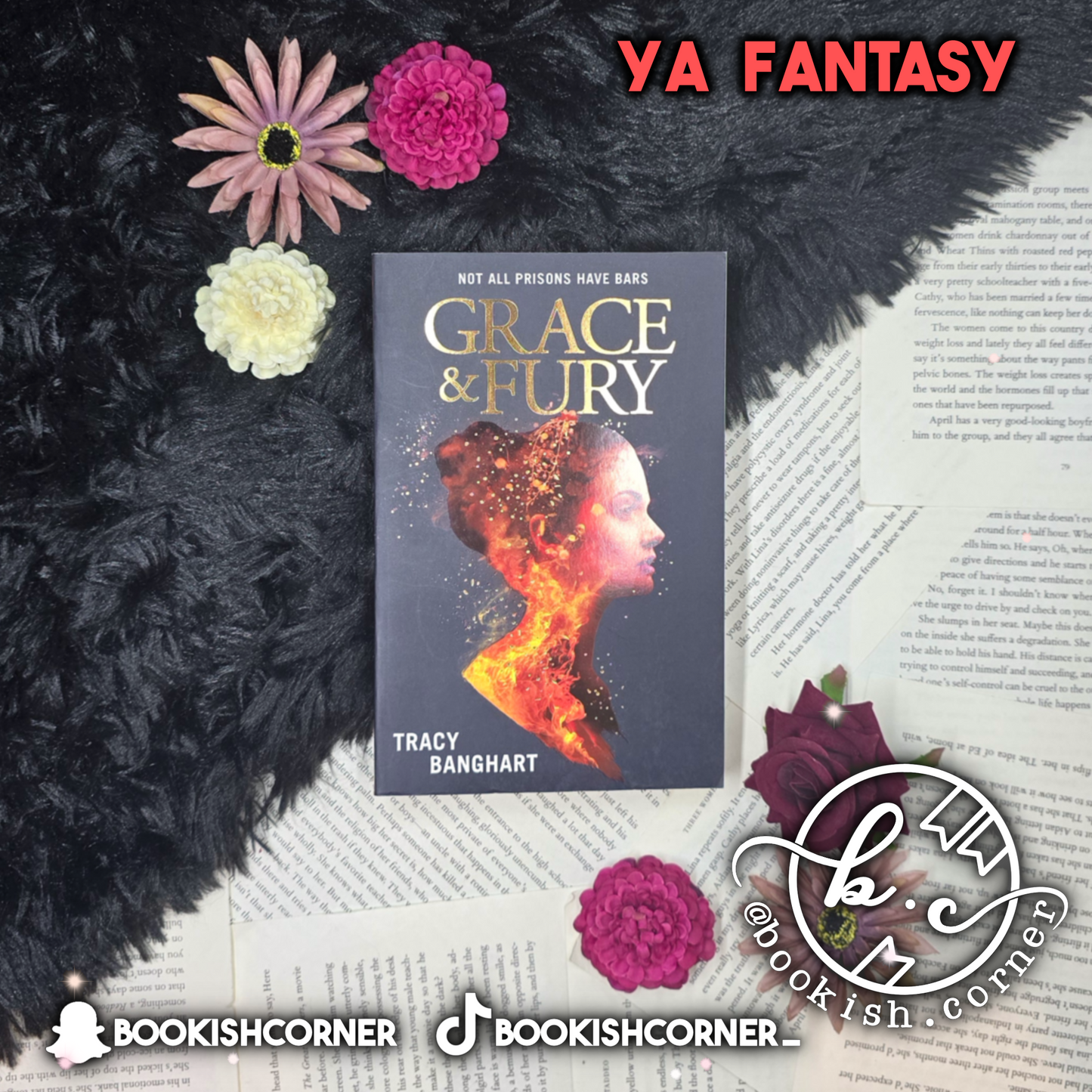 Grace And Fury By Tracy Banghart