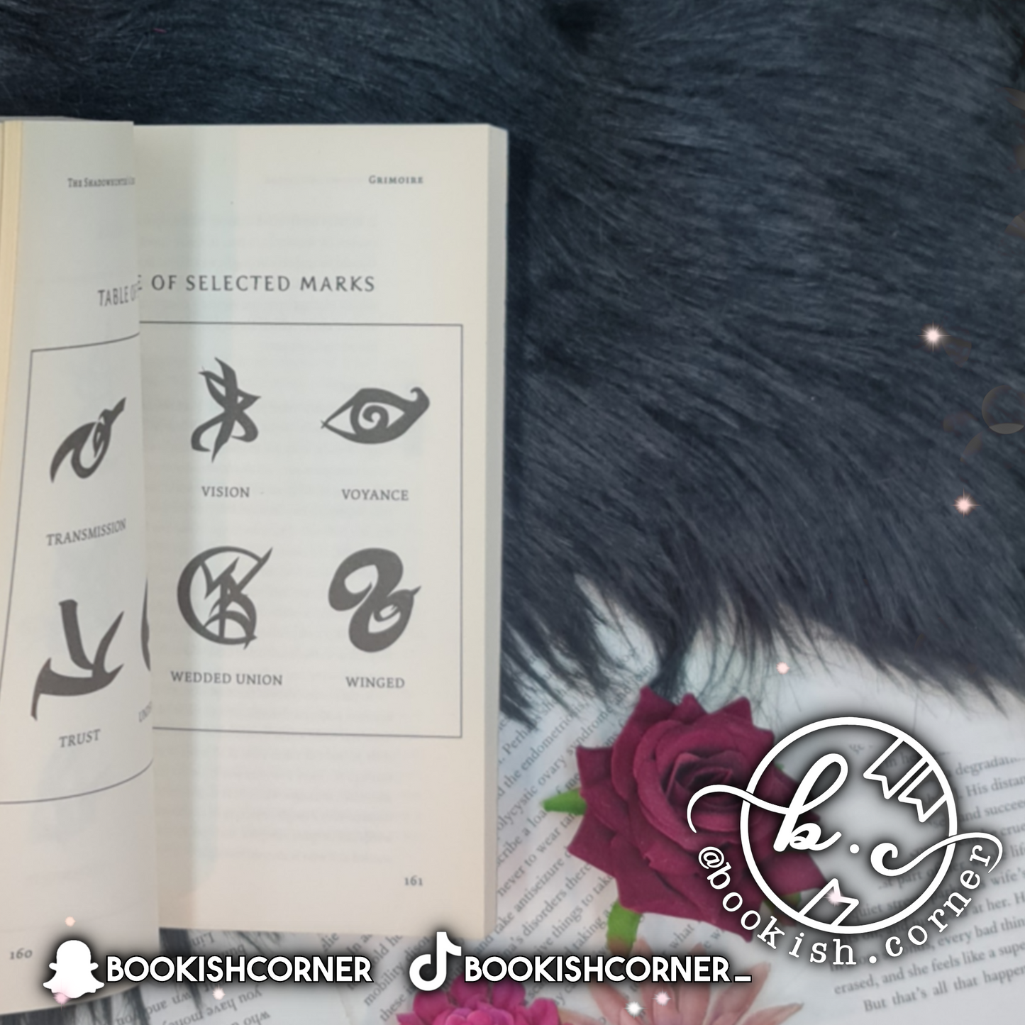 The Shadowhunter's Codex By Cassandra Clare