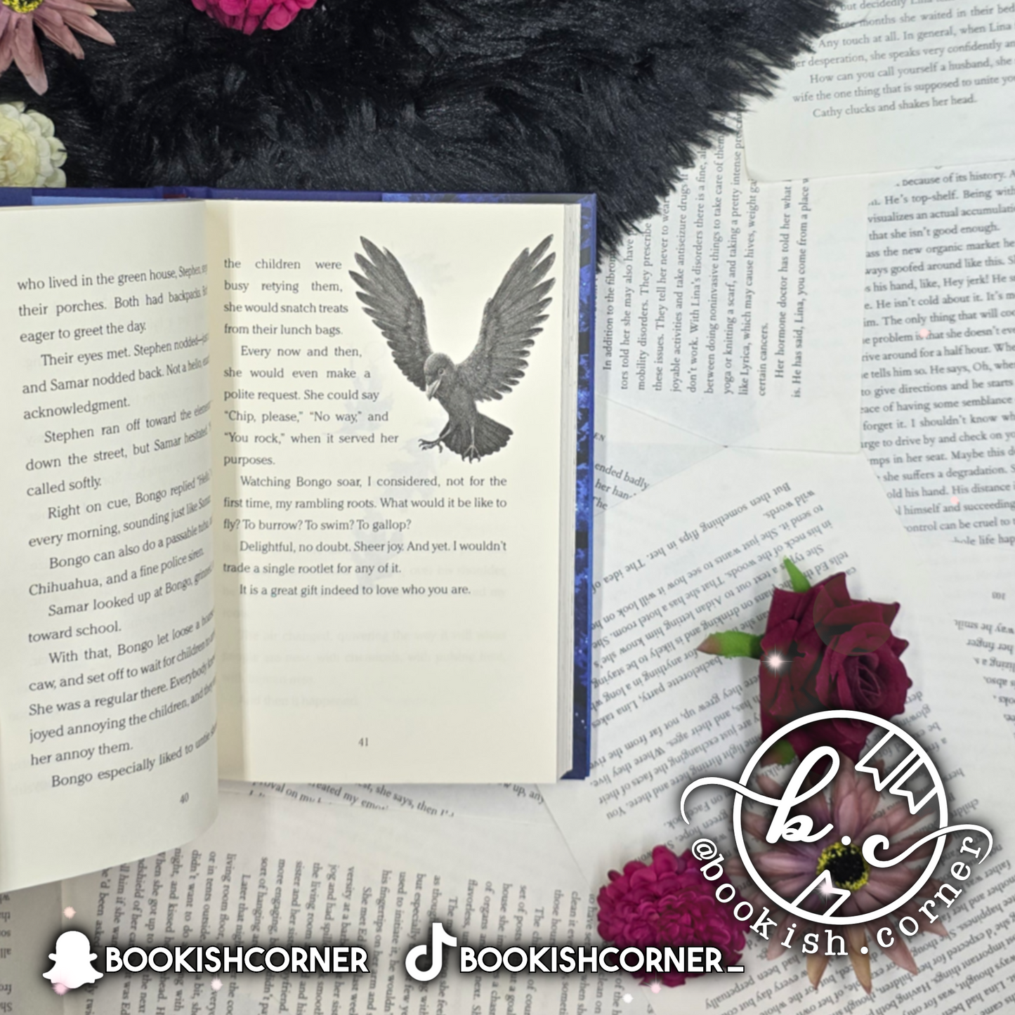 Wishtree By Katherine Applegate