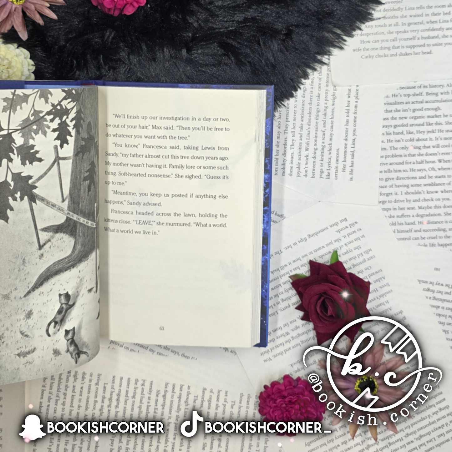 Wishtree By Katherine Applegate