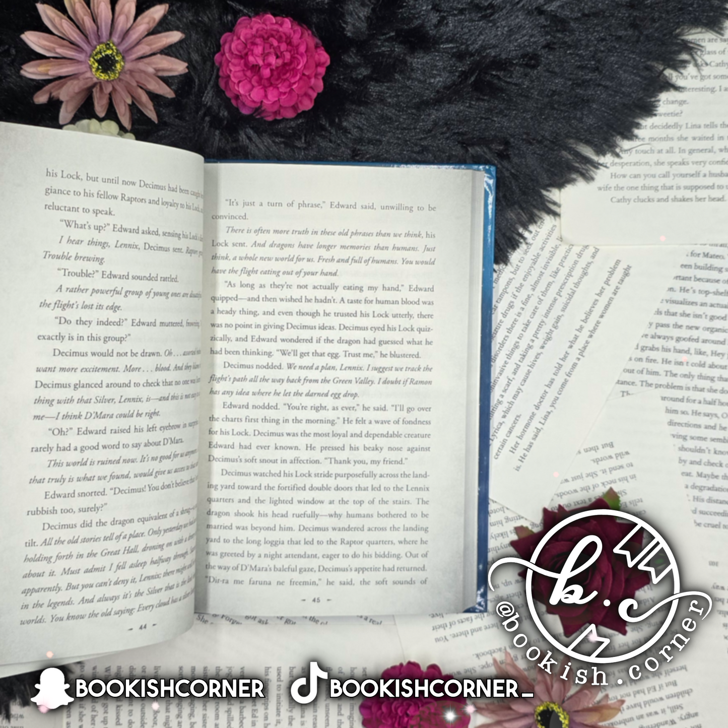 Rise Of The Dragons By Angie Sage