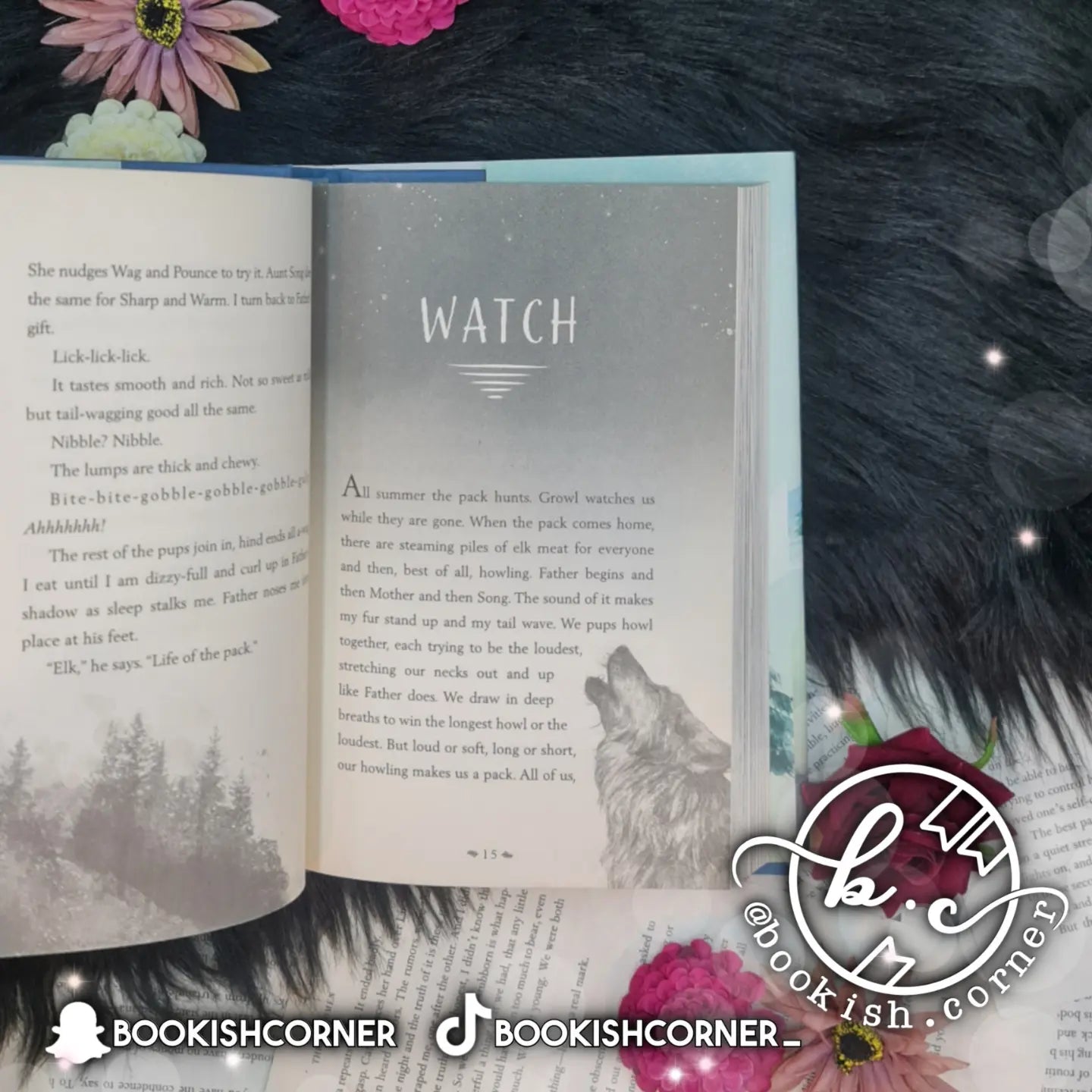 A Wolf Called Wander By Rosanne Parry