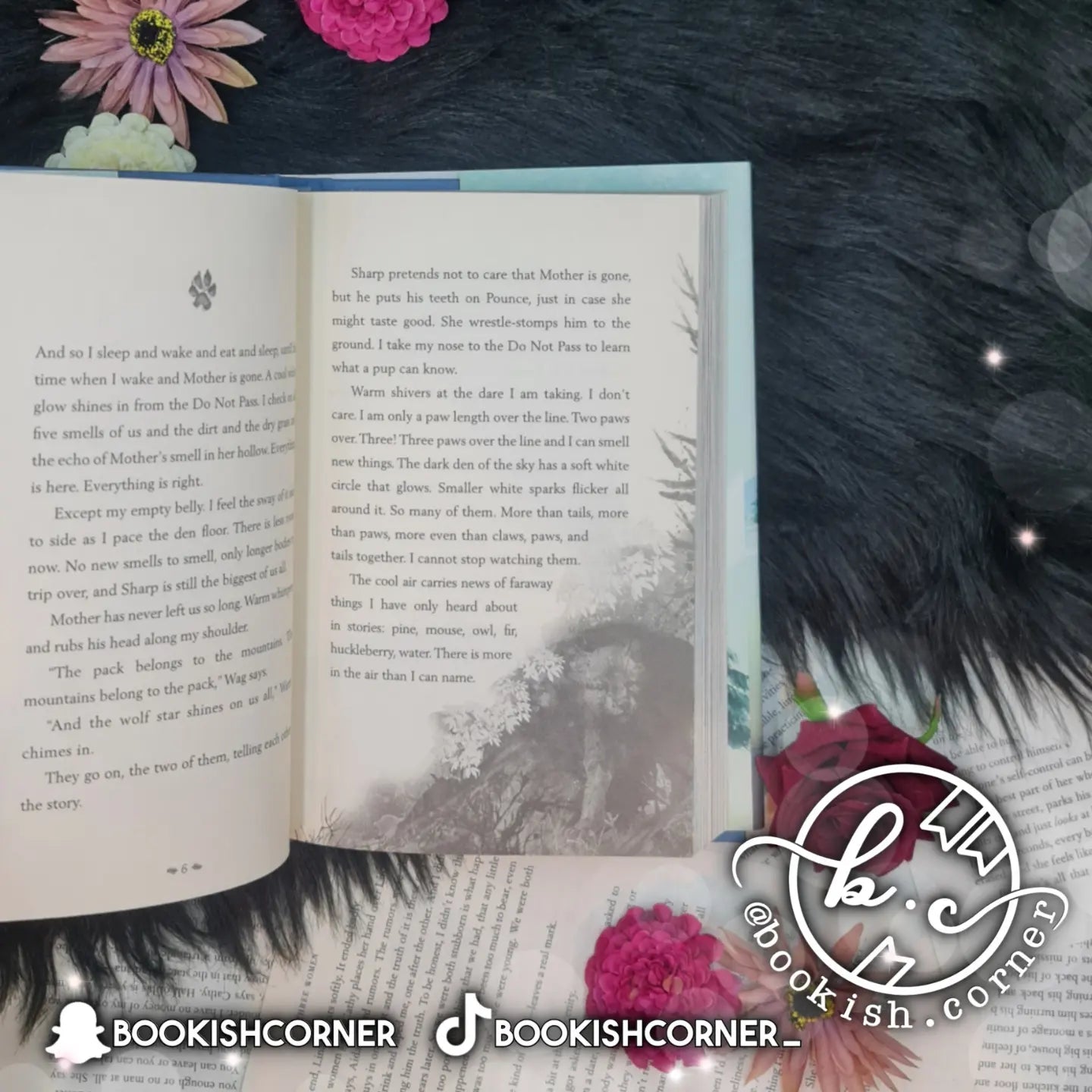 A Wolf Called Wander By Rosanne Parry