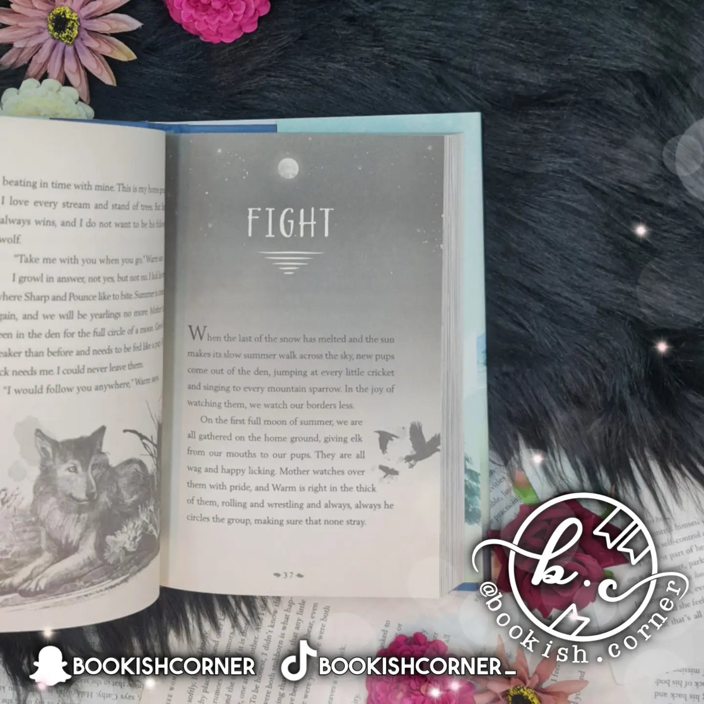 A Wolf Called Wander By Rosanne Parry