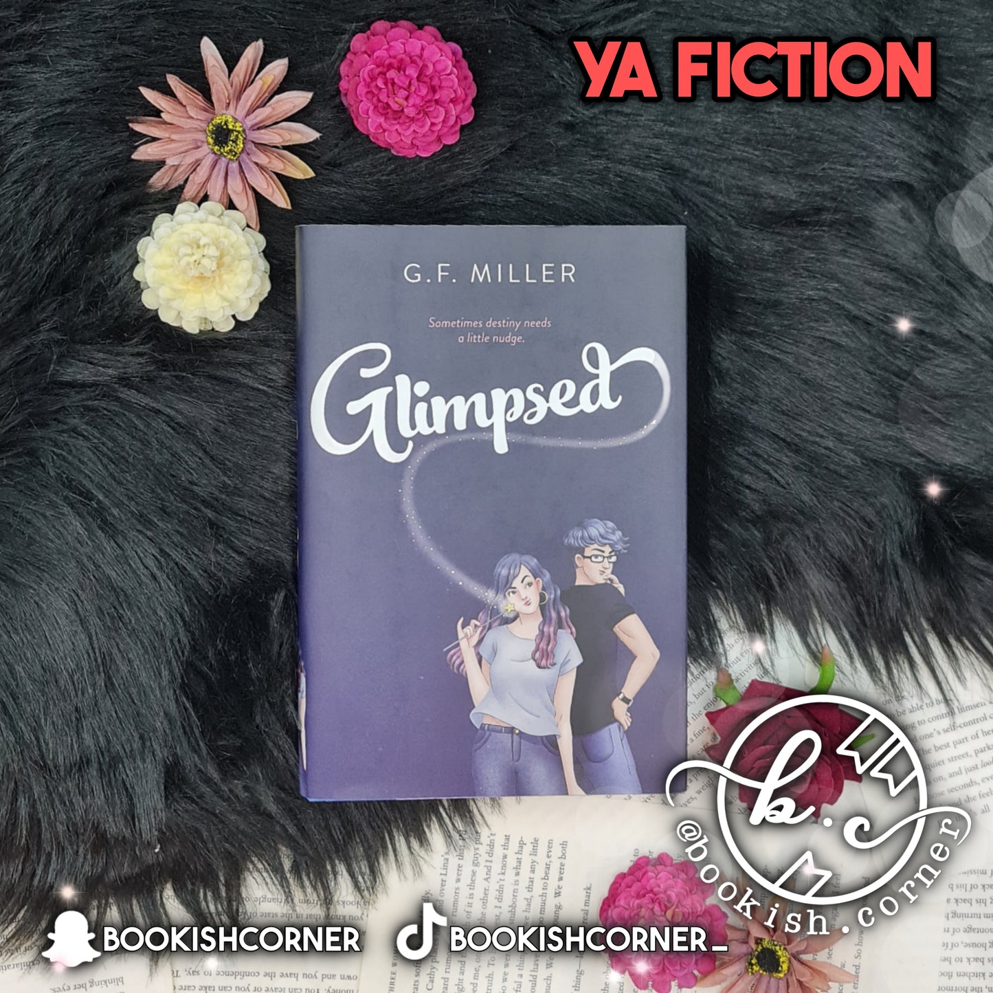 Glimpsed By G. F. Miller