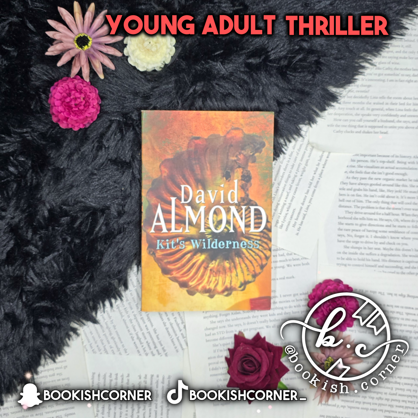 Kit's Wilderness By David Almond