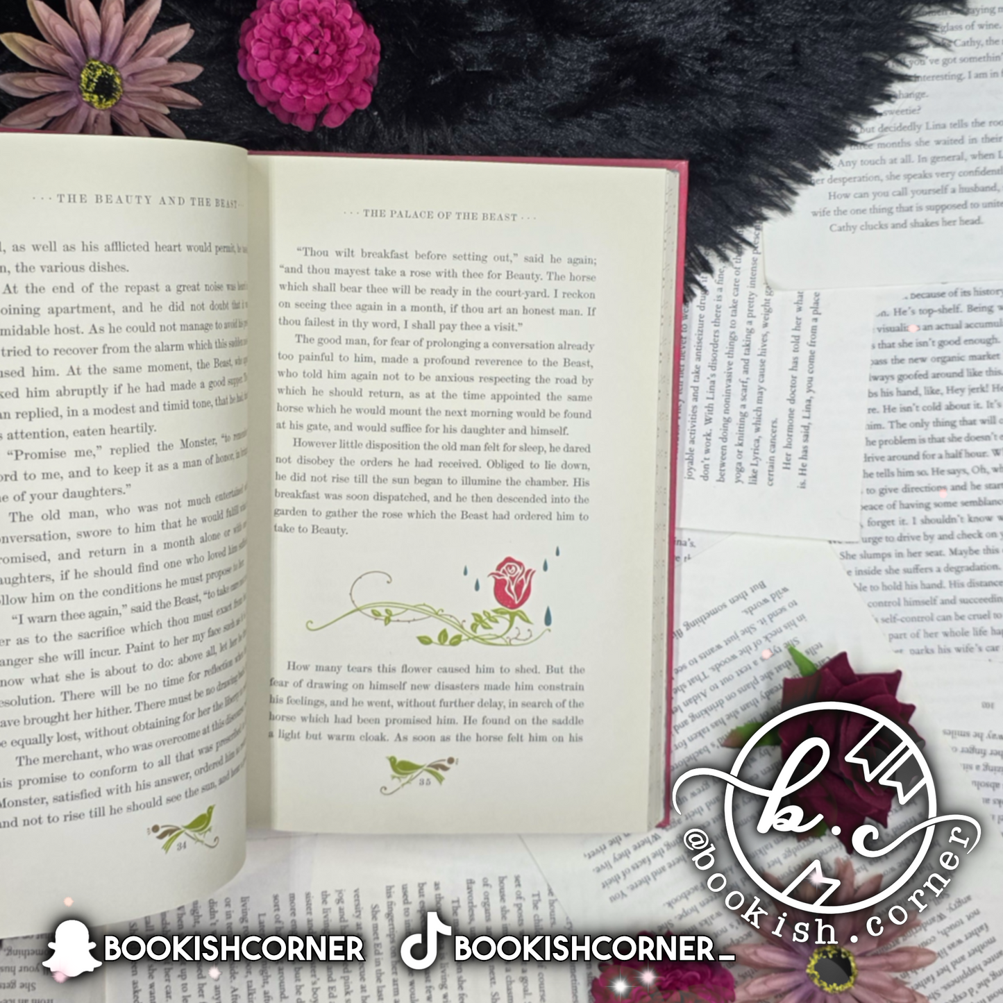 Beauty And The Beast By Gabrielle-Suzanne Barbot