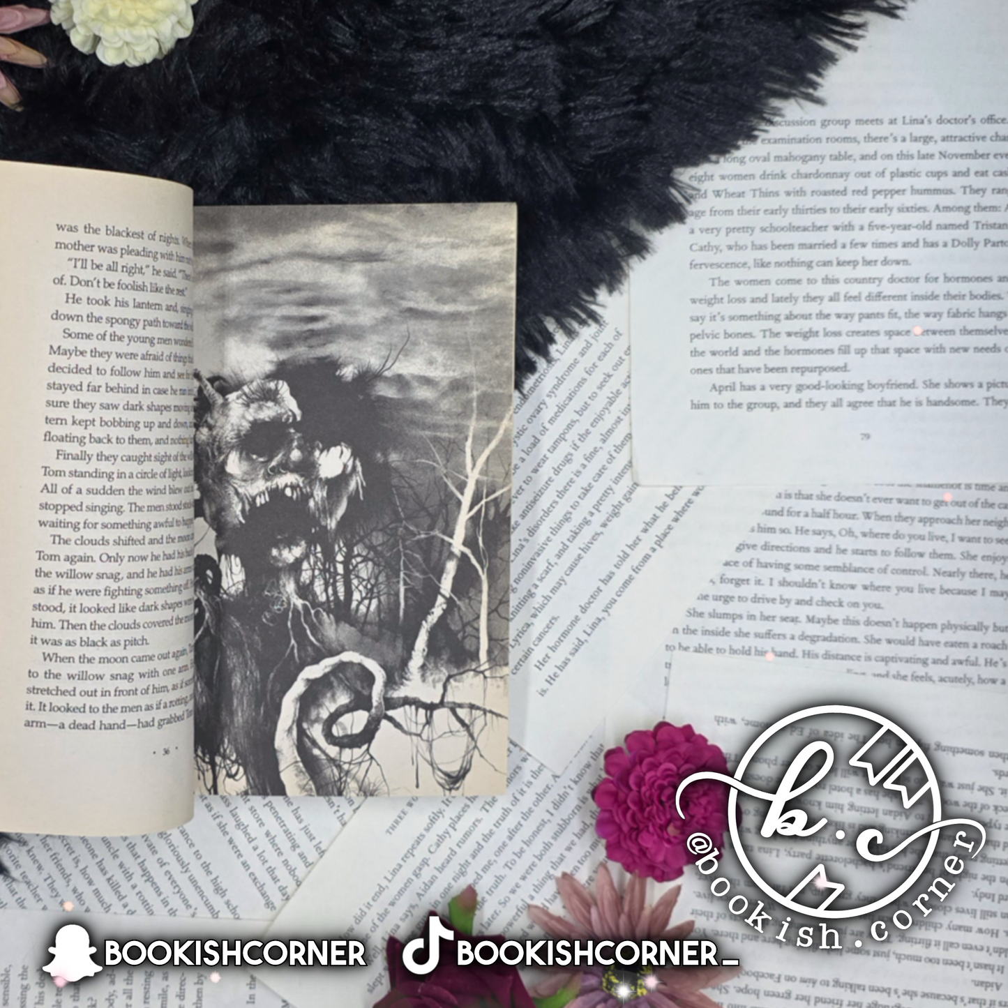 Scary Stories 3 More Tales To Chill Your Bones By Alvin Schwartz