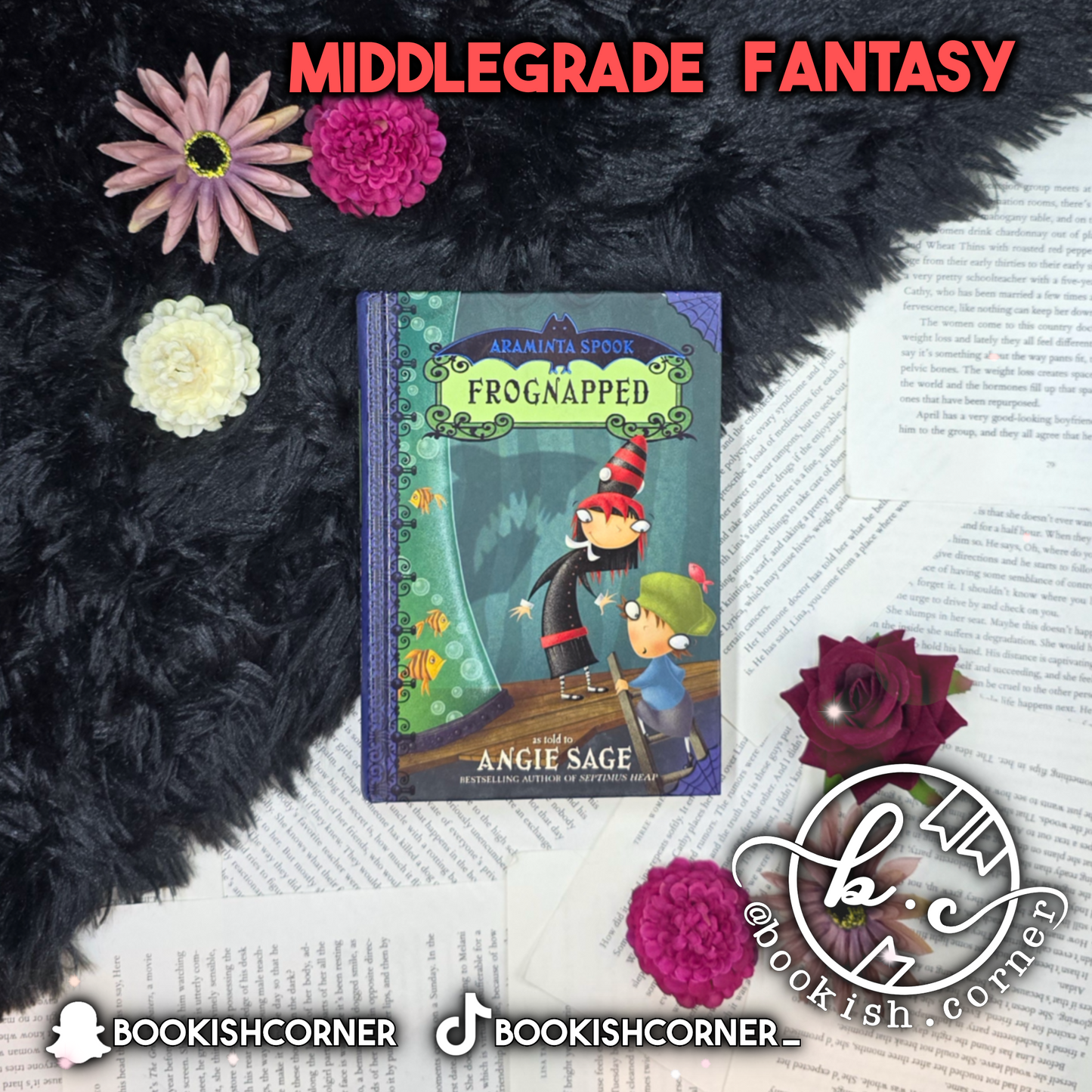 Frognapped By Angie Sage