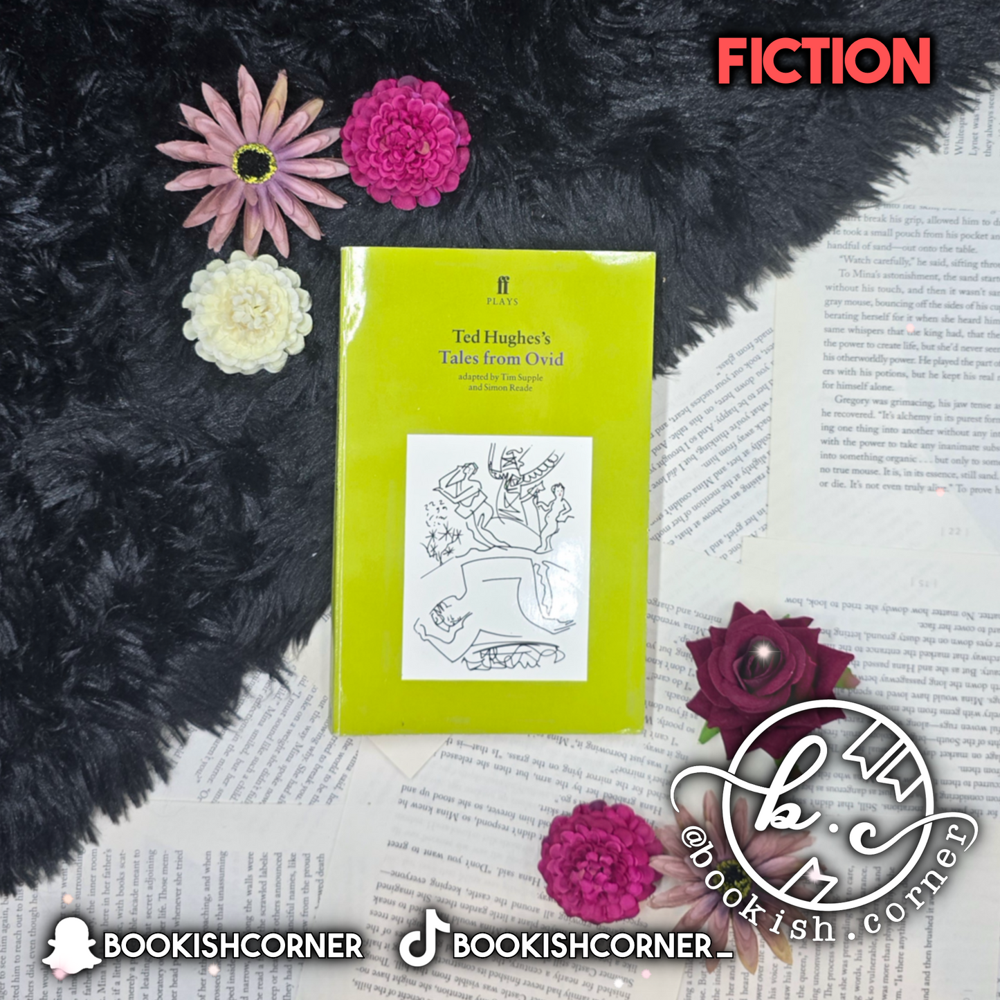 Tales from Ovid By Ted Hughes