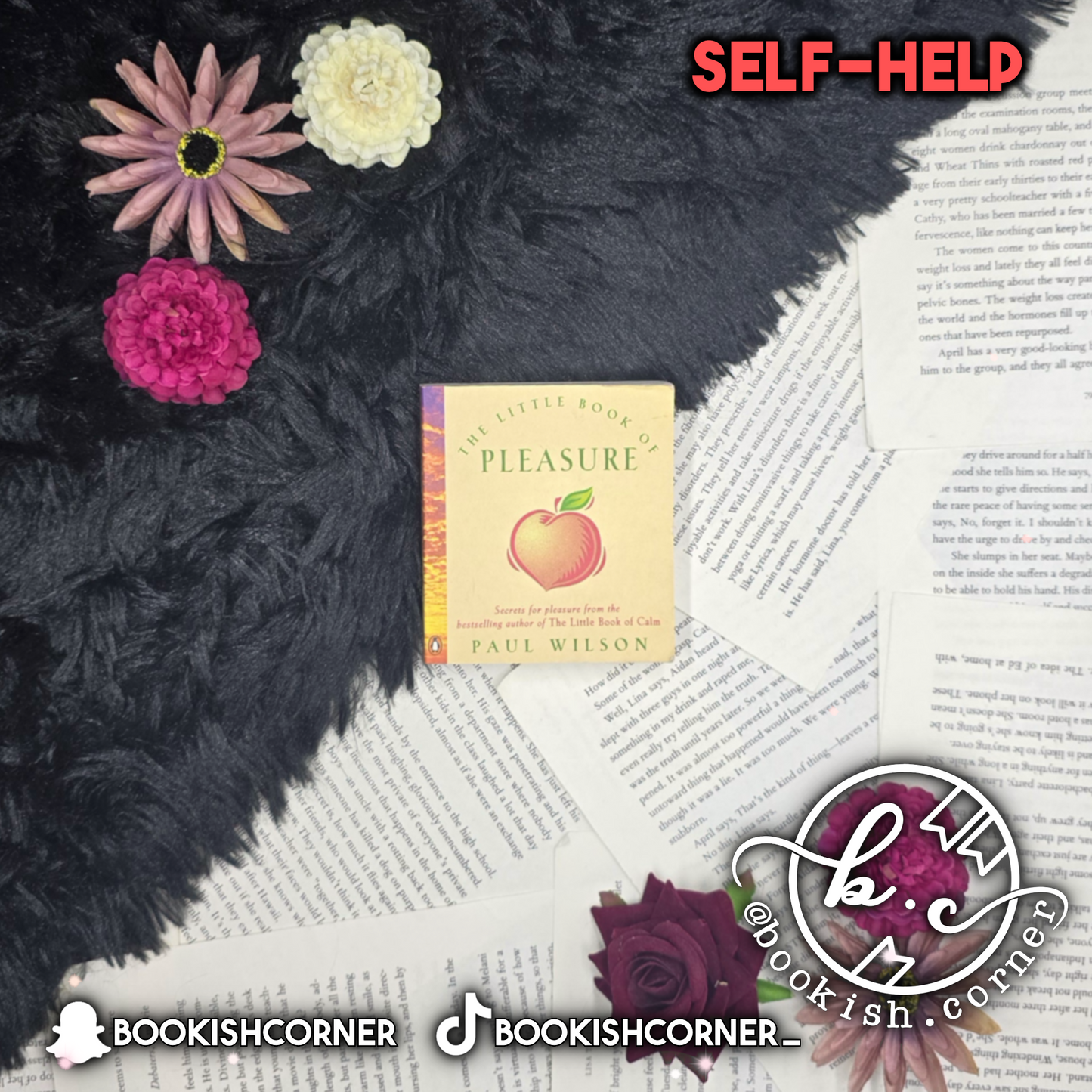The Little Book Of Pleasure By Paul Wilson