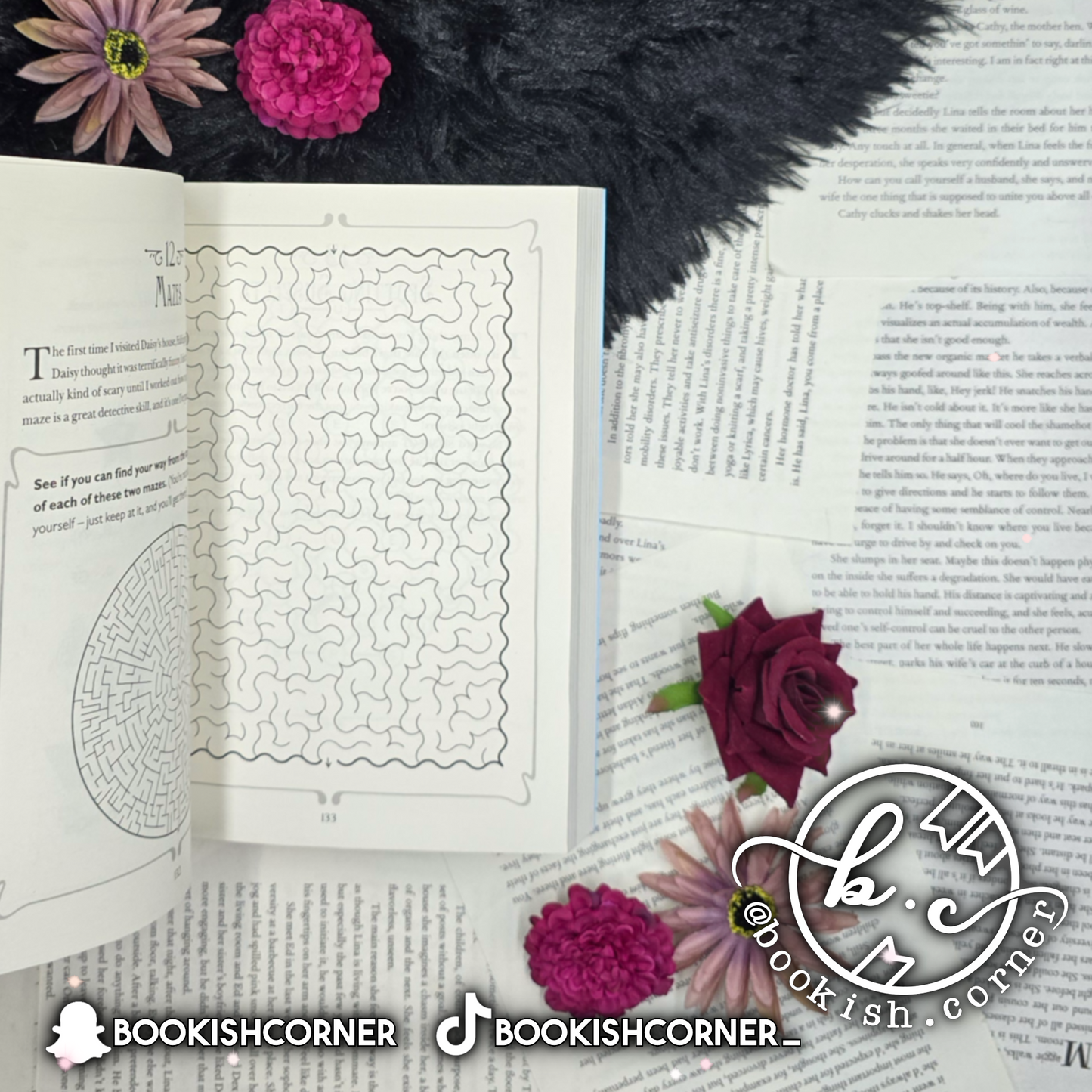 The Most Unladylike Puzzle Book By Robin Stevens