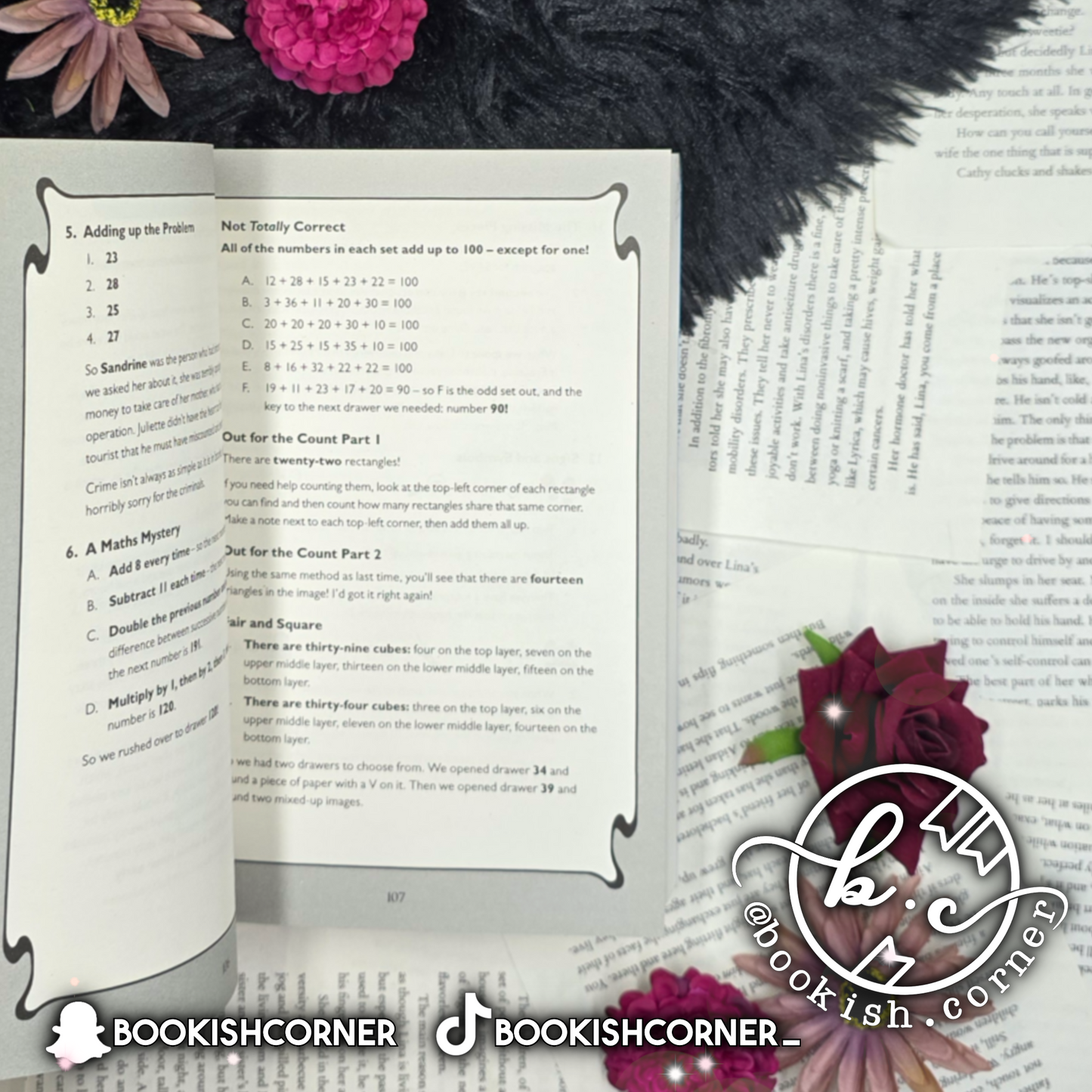 The Most Unladylike Puzzle Book By Robin Stevens