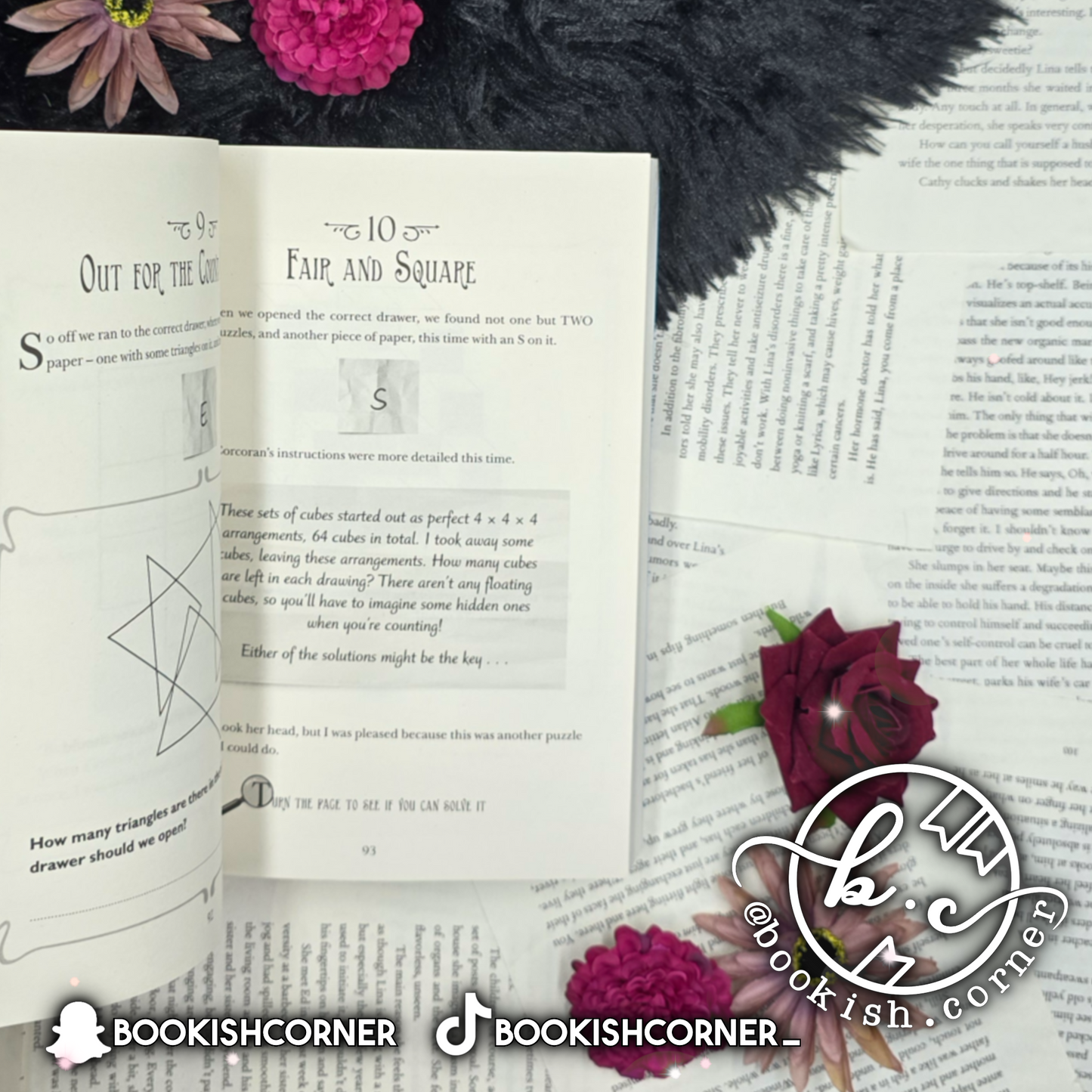 The Most Unladylike Puzzle Book By Robin Stevens