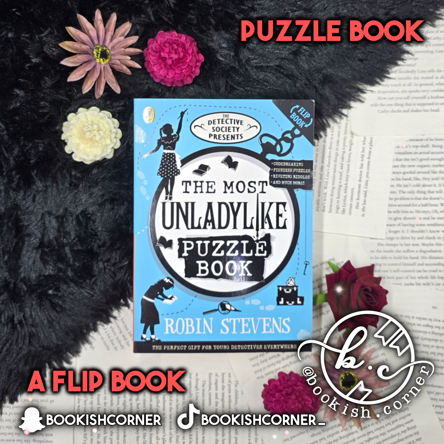 The Most Unladylike Puzzle Book By Robin Stevens