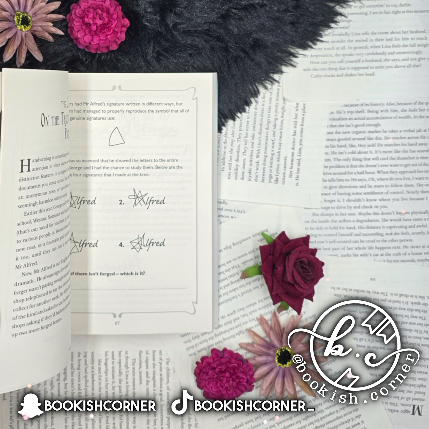 The Most Unladylike Puzzle Book By Robin Stevens