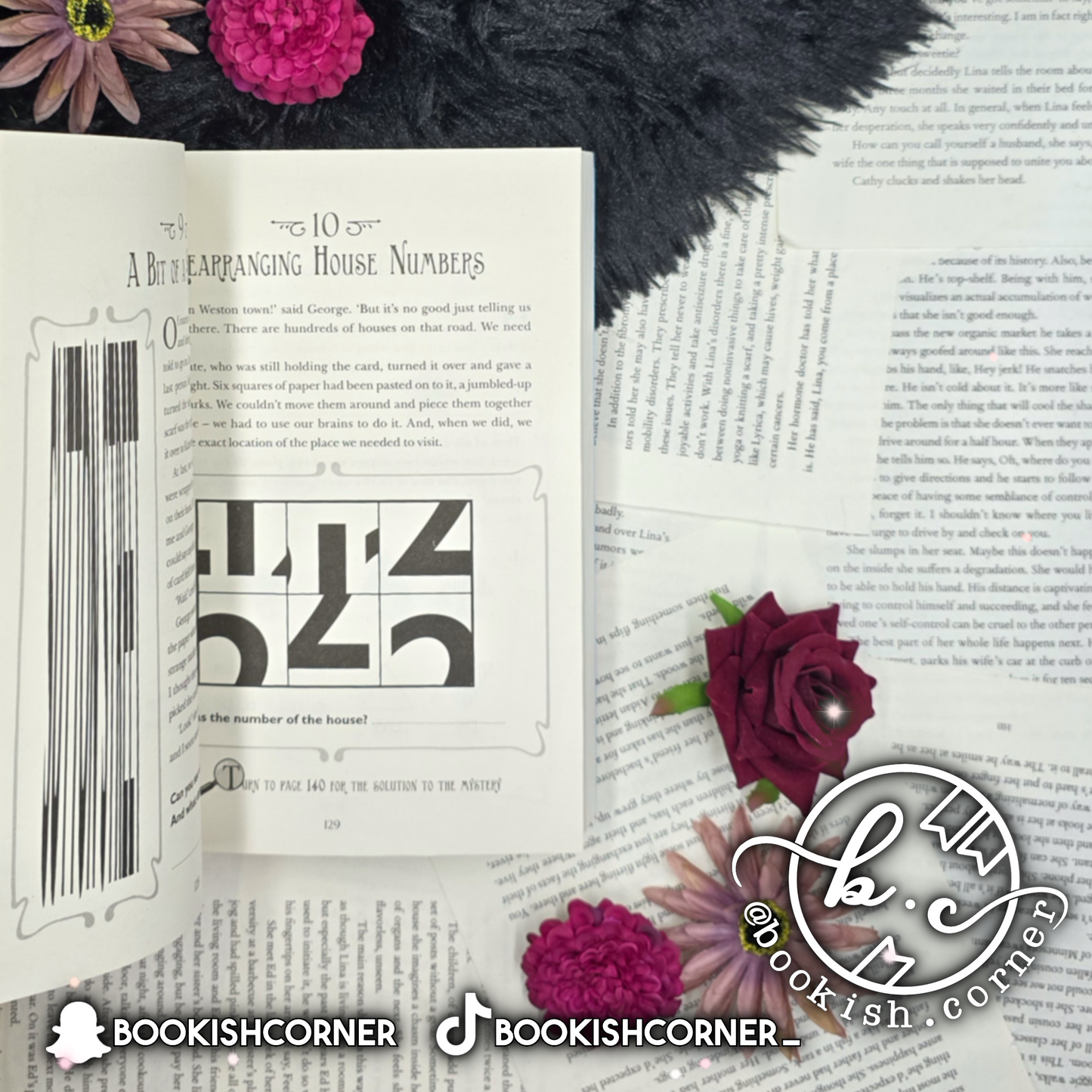 The Most Unladylike Puzzle Book By Robin Stevens