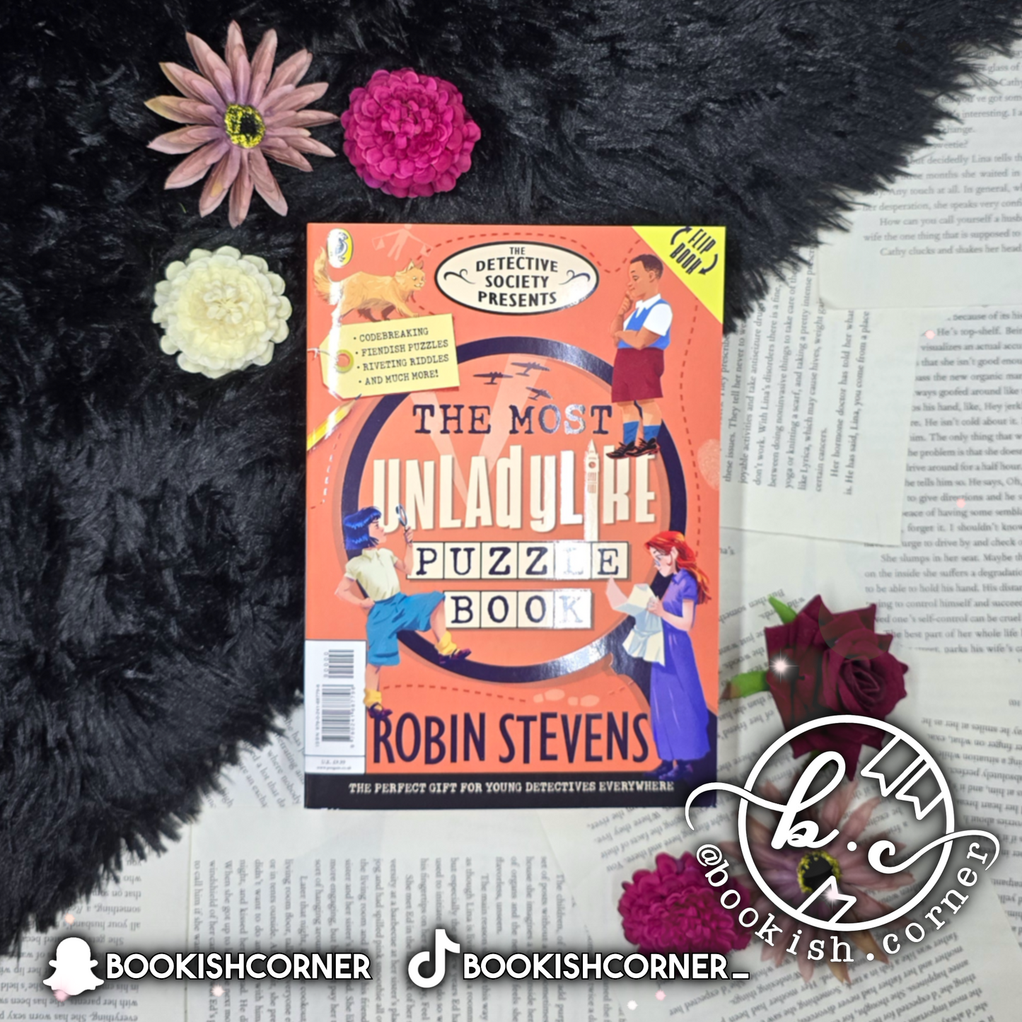 The Most Unladylike Puzzle Book By Robin Stevens