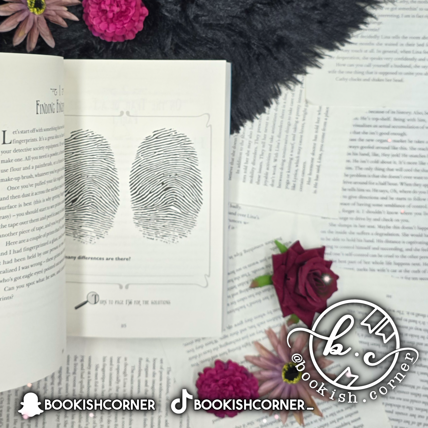 The Most Unladylike Puzzle Book By Robin Stevens