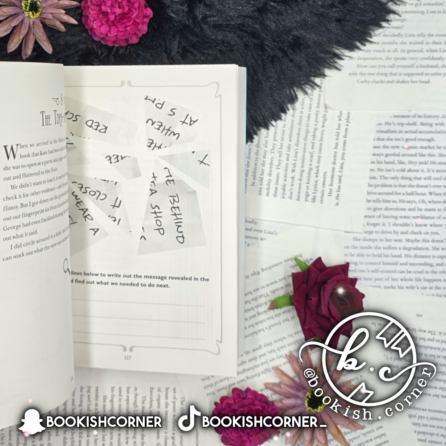 The Most Unladylike Puzzle Book By Robin Stevens