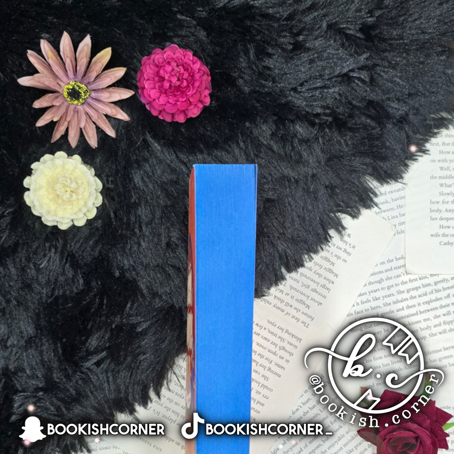 The Ministry Of Unladylike Activity By Robin Stevens