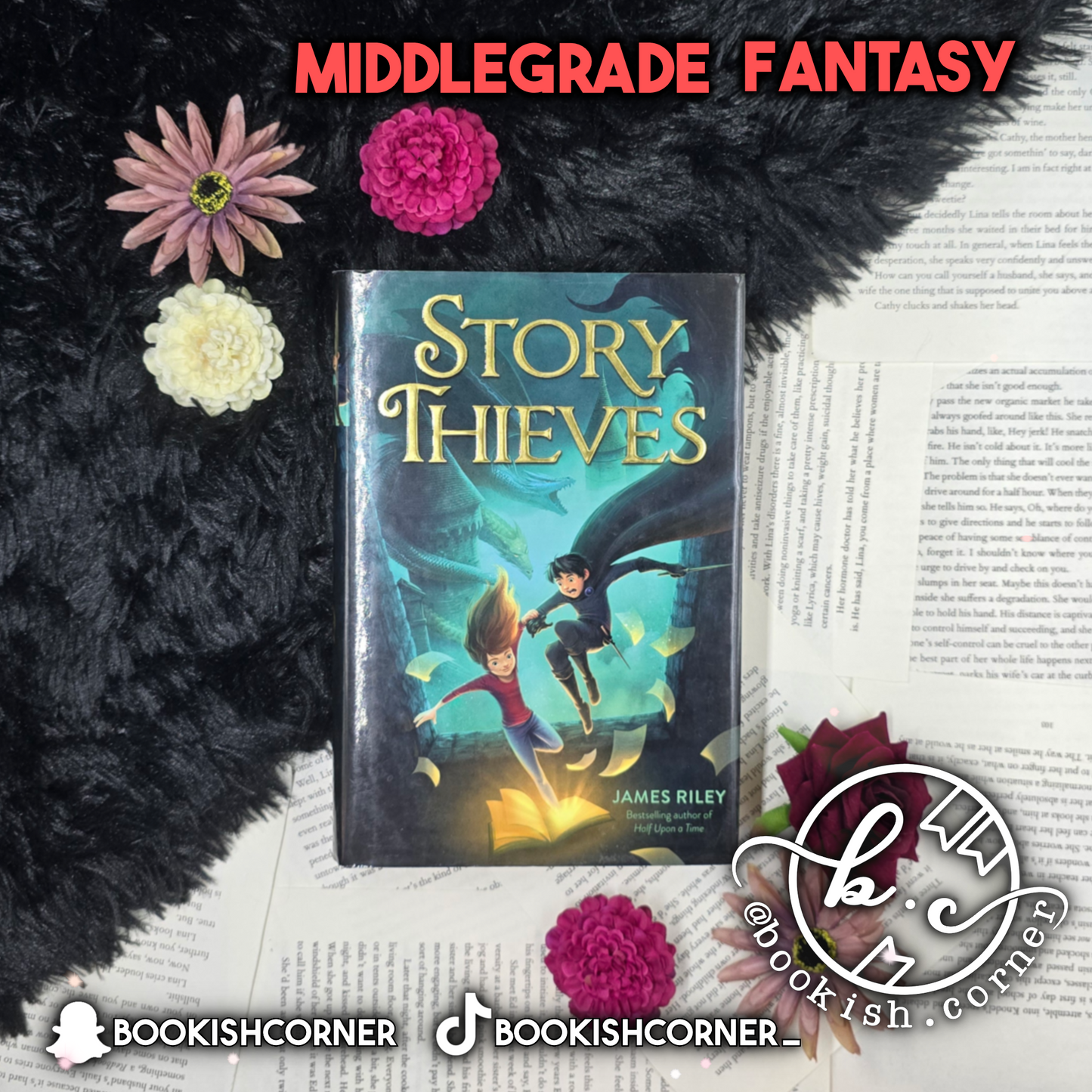 Story Thieves By James Riley