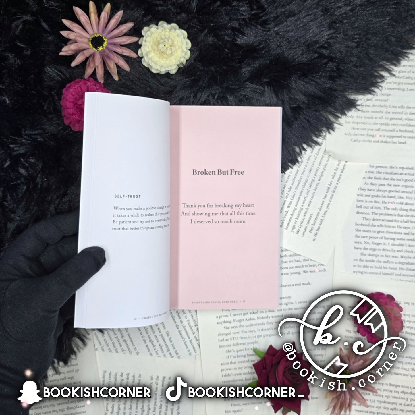 Everything You'll Ever Need By Charlotte Freeman