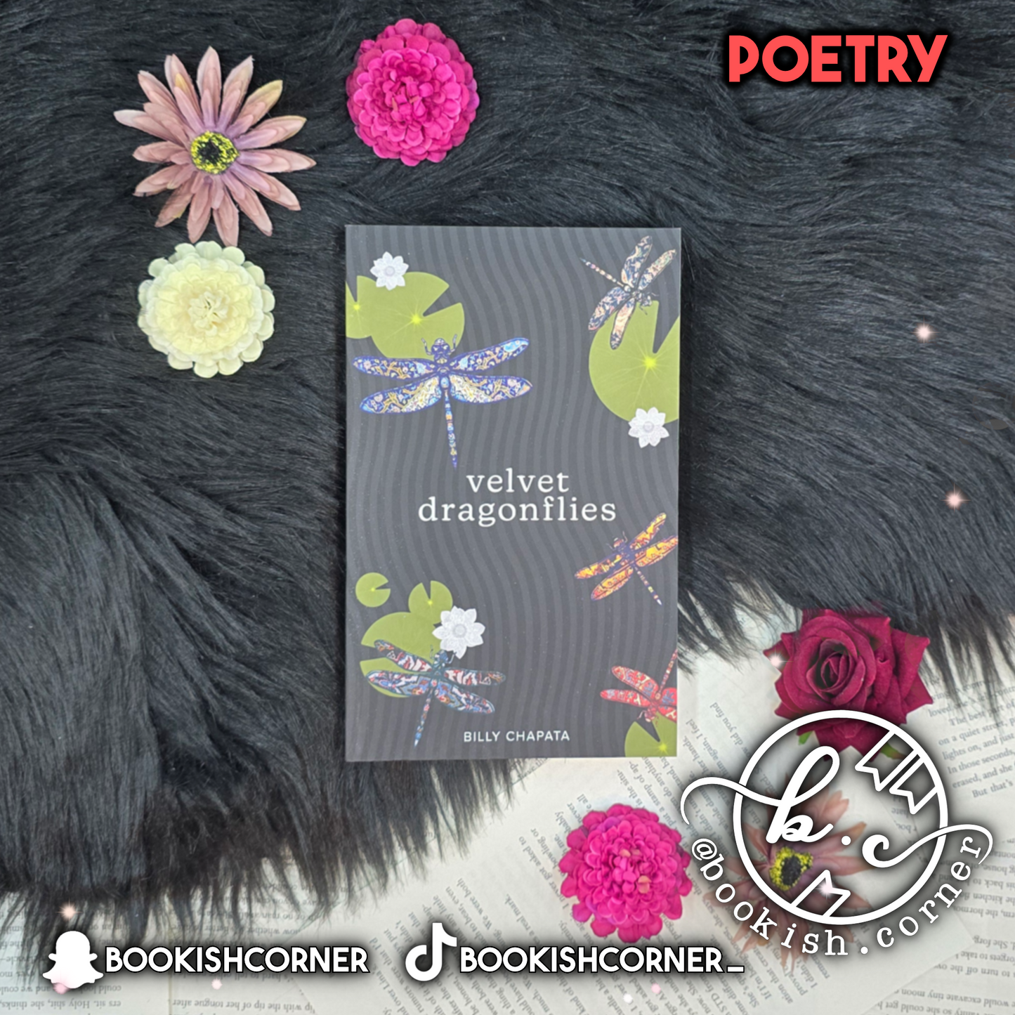 Velvet Dragonflies By Billy Chapata