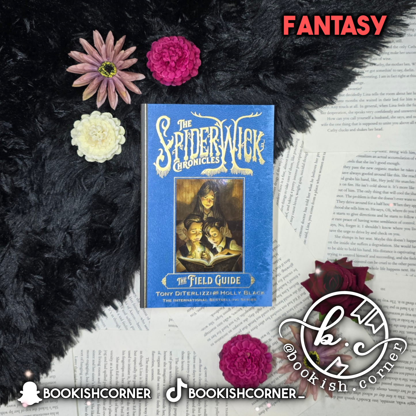 The Field Guide By Holly Black