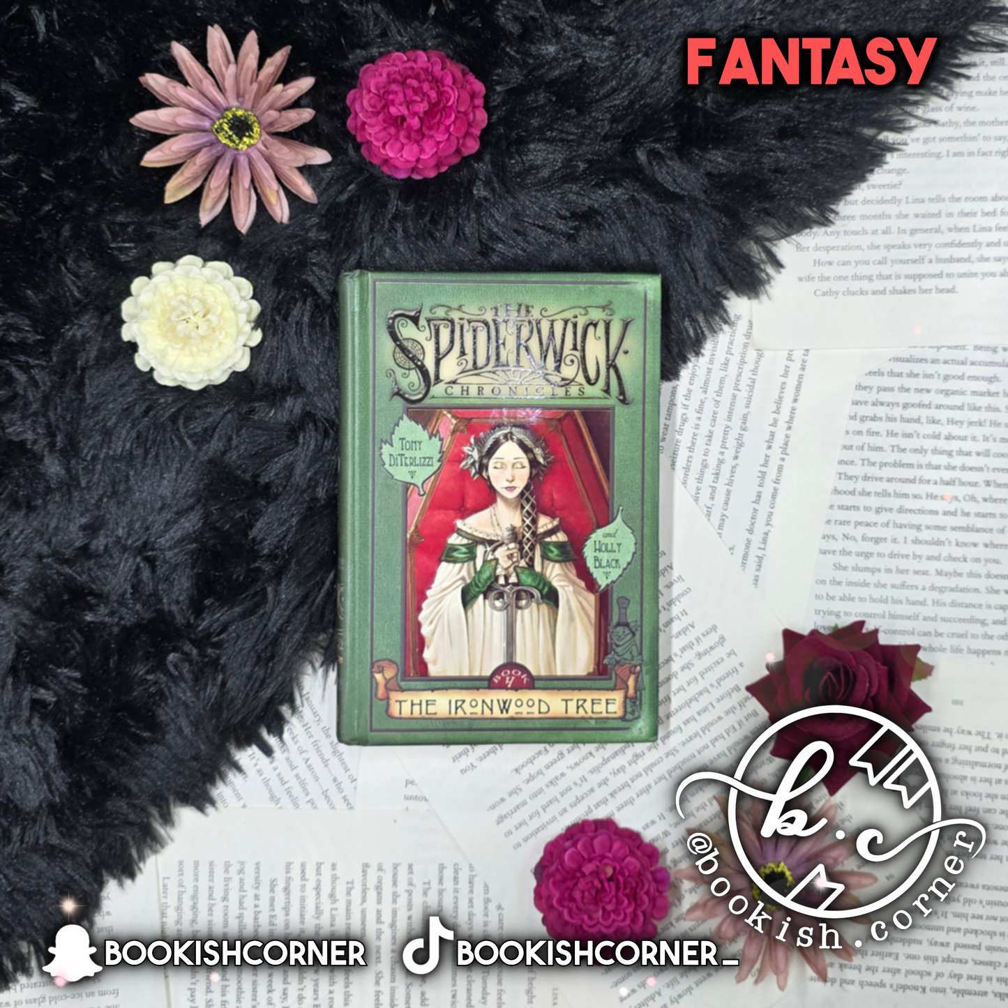 The Ironwood Tree By Holly Black