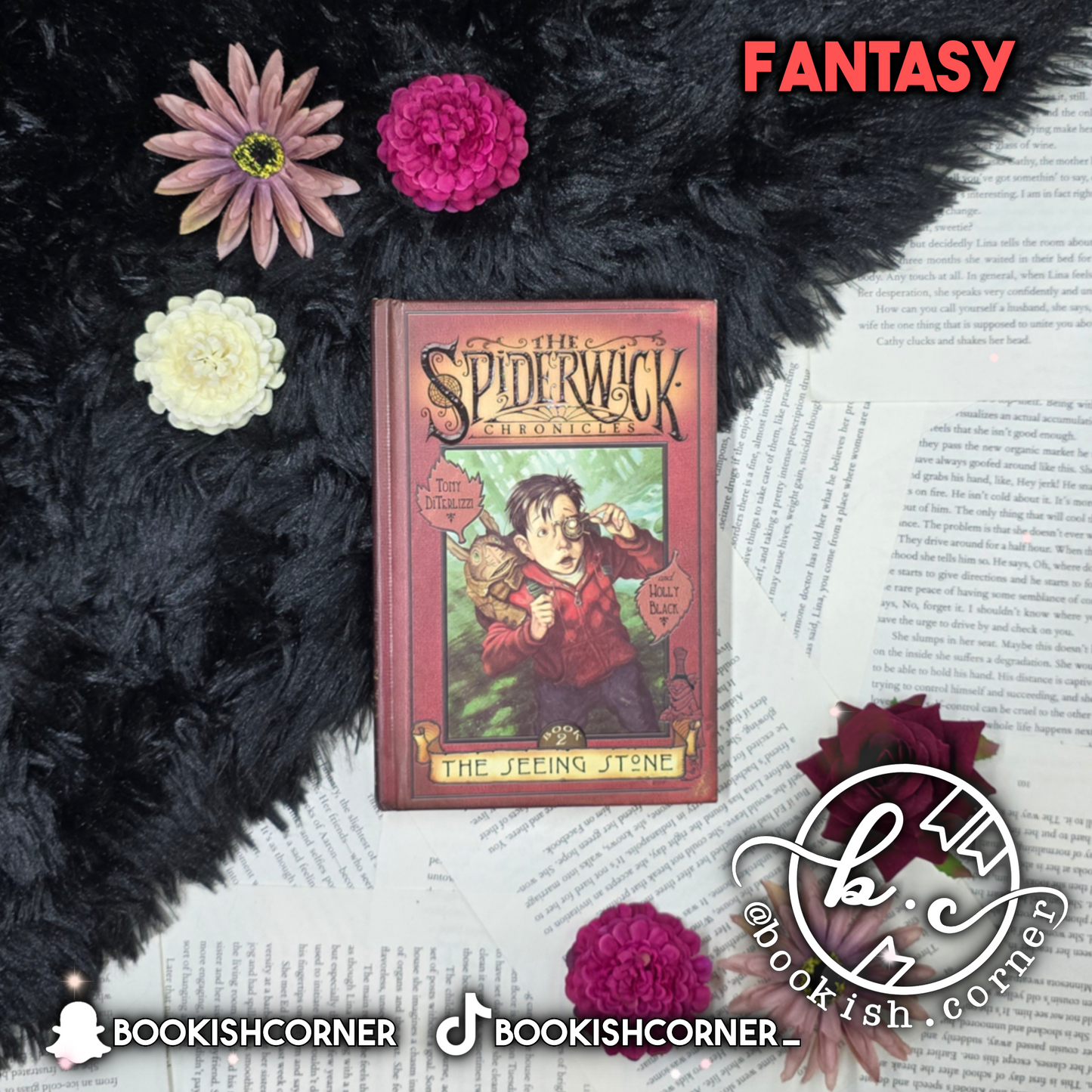 The Seeing Stone By Holly Black