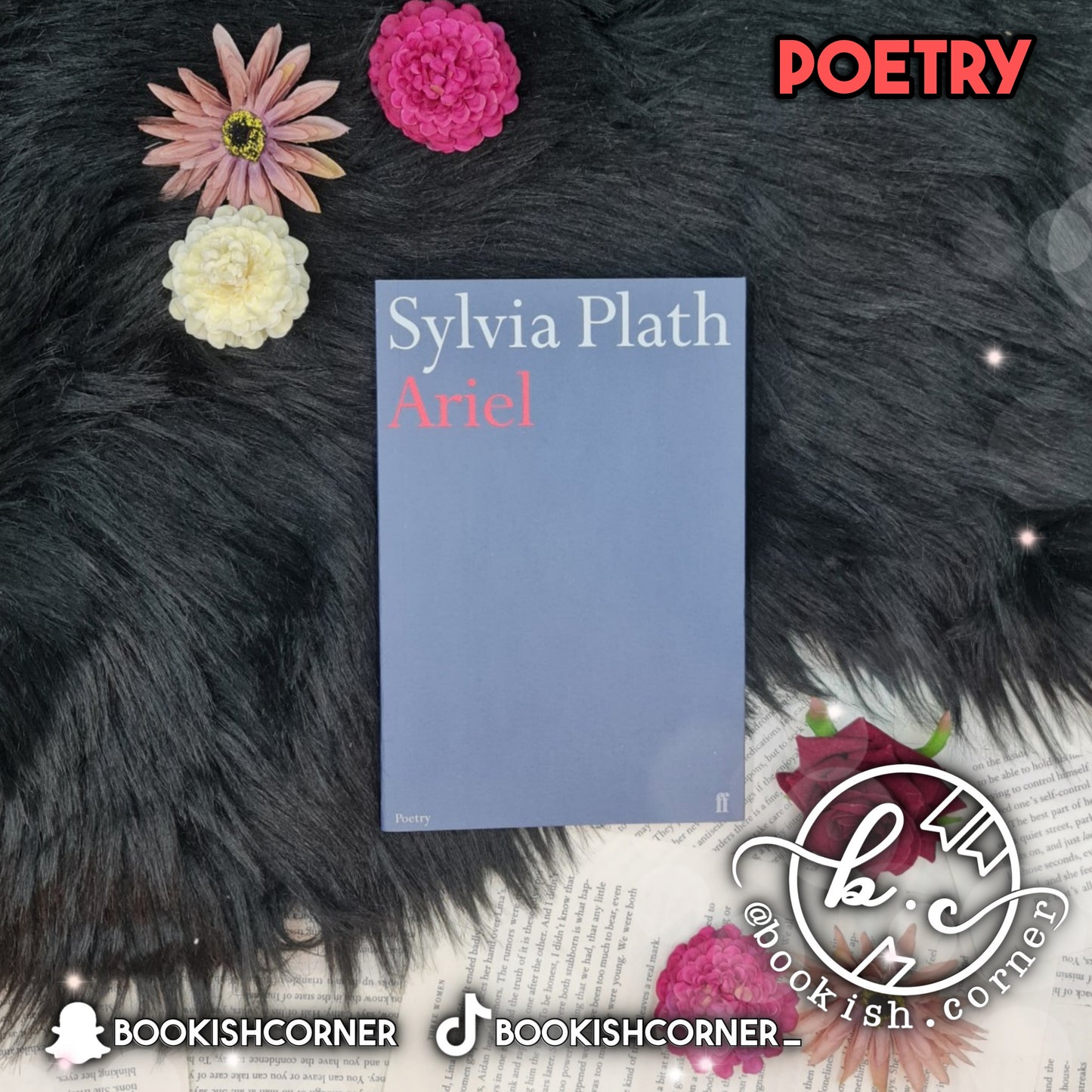 Ariel By Sylvia Plath