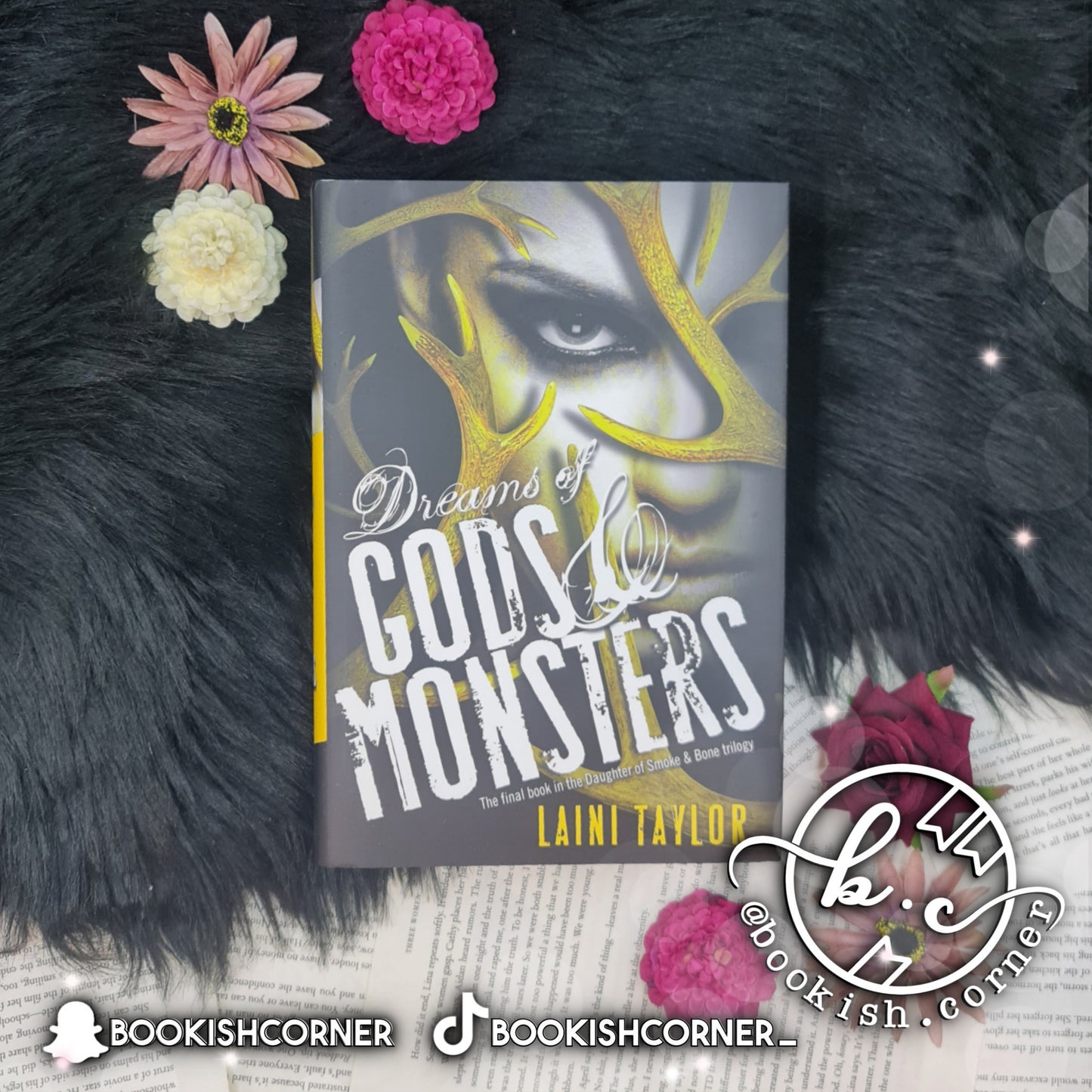 Daughter Of Smoke And Bone By Laini Taylor