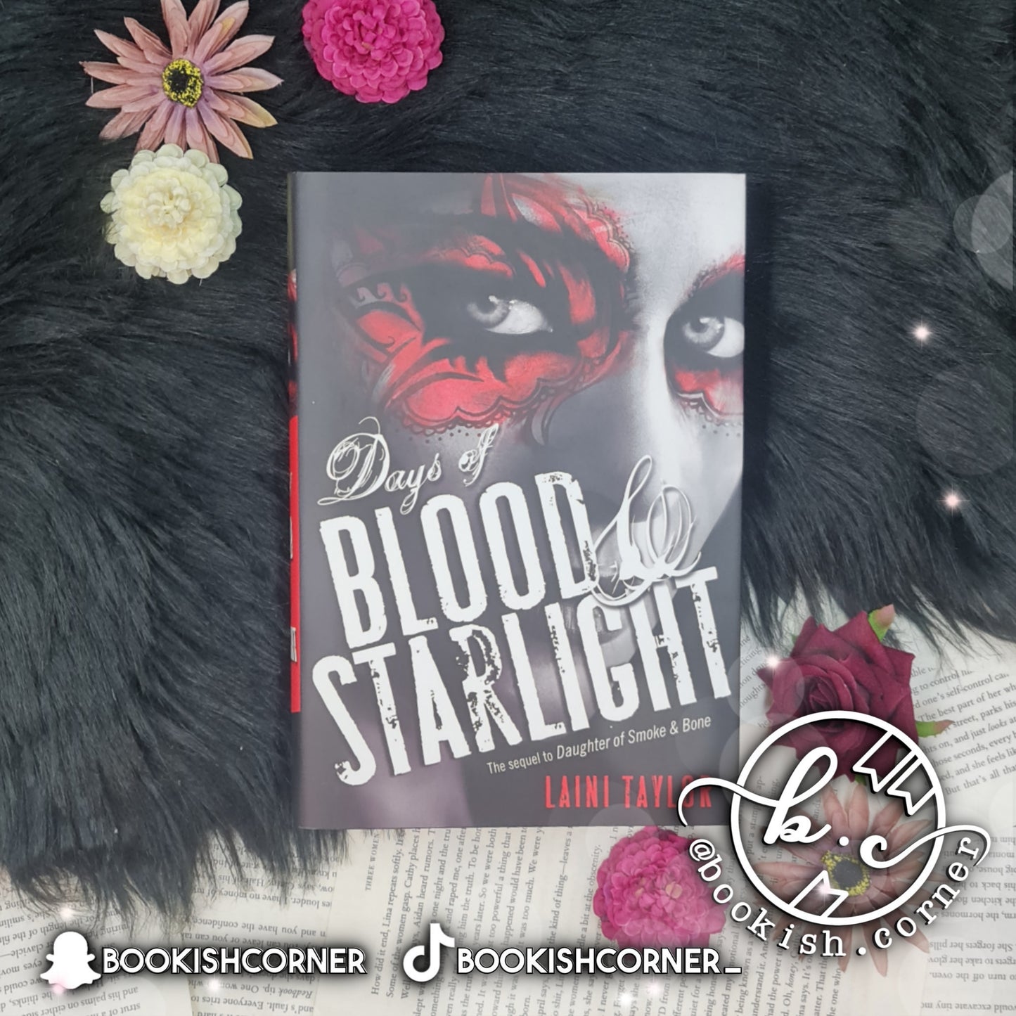 Daughter Of Smoke And Bone By Laini Taylor