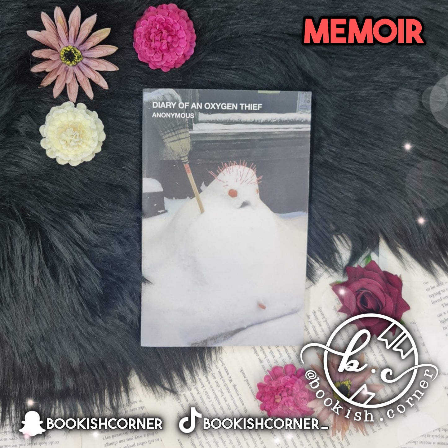 Diary Of An Oxygen Thief By Anonymous