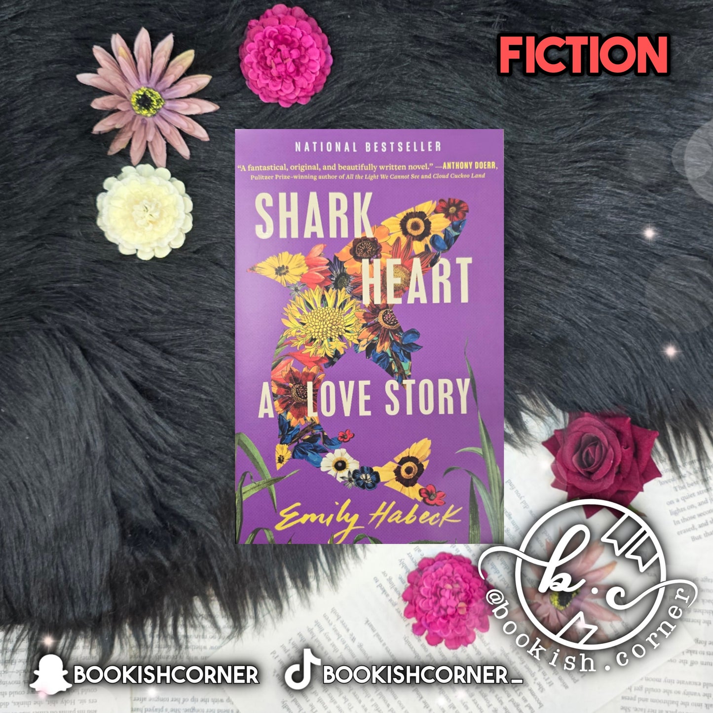 Shark Heart By Emily Habeck