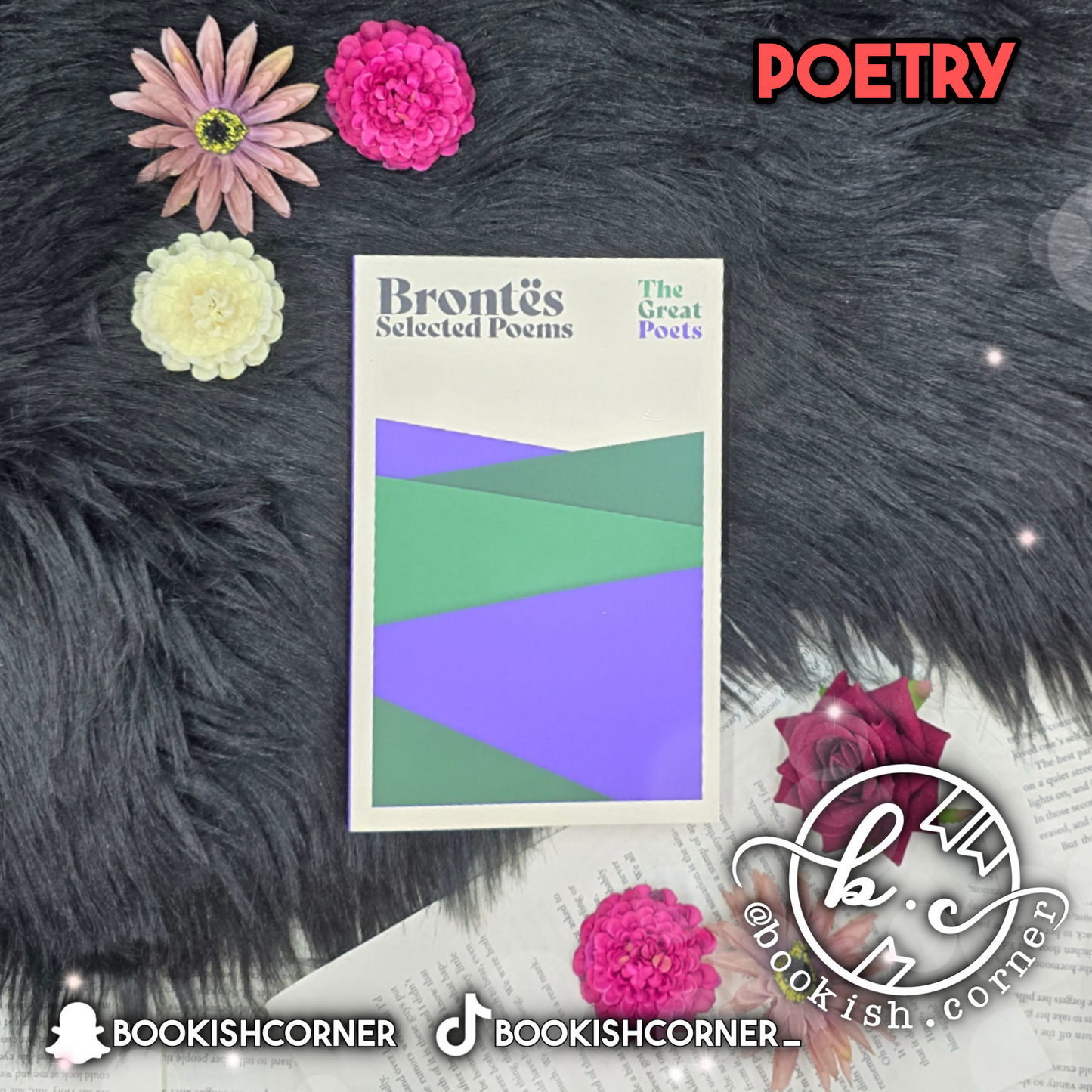 Brontes Selected Poems