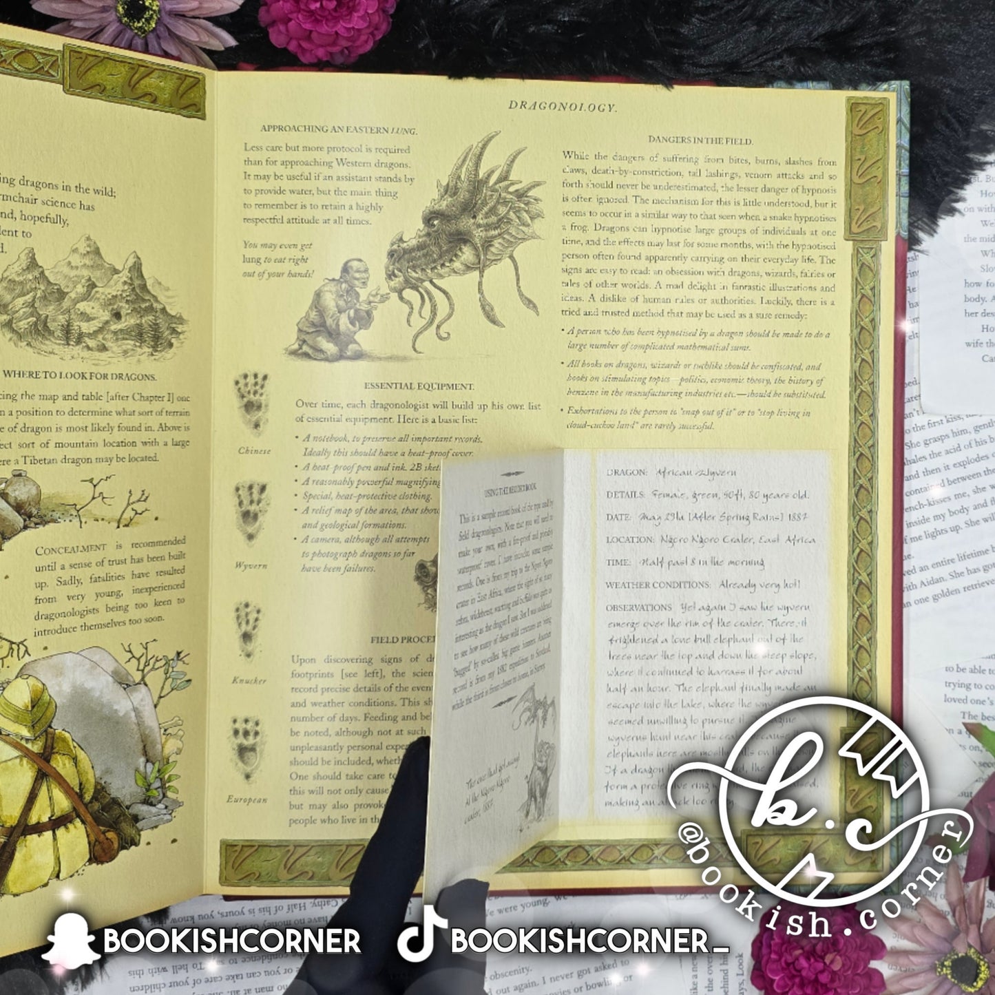 Dragonology By Dugald Steer