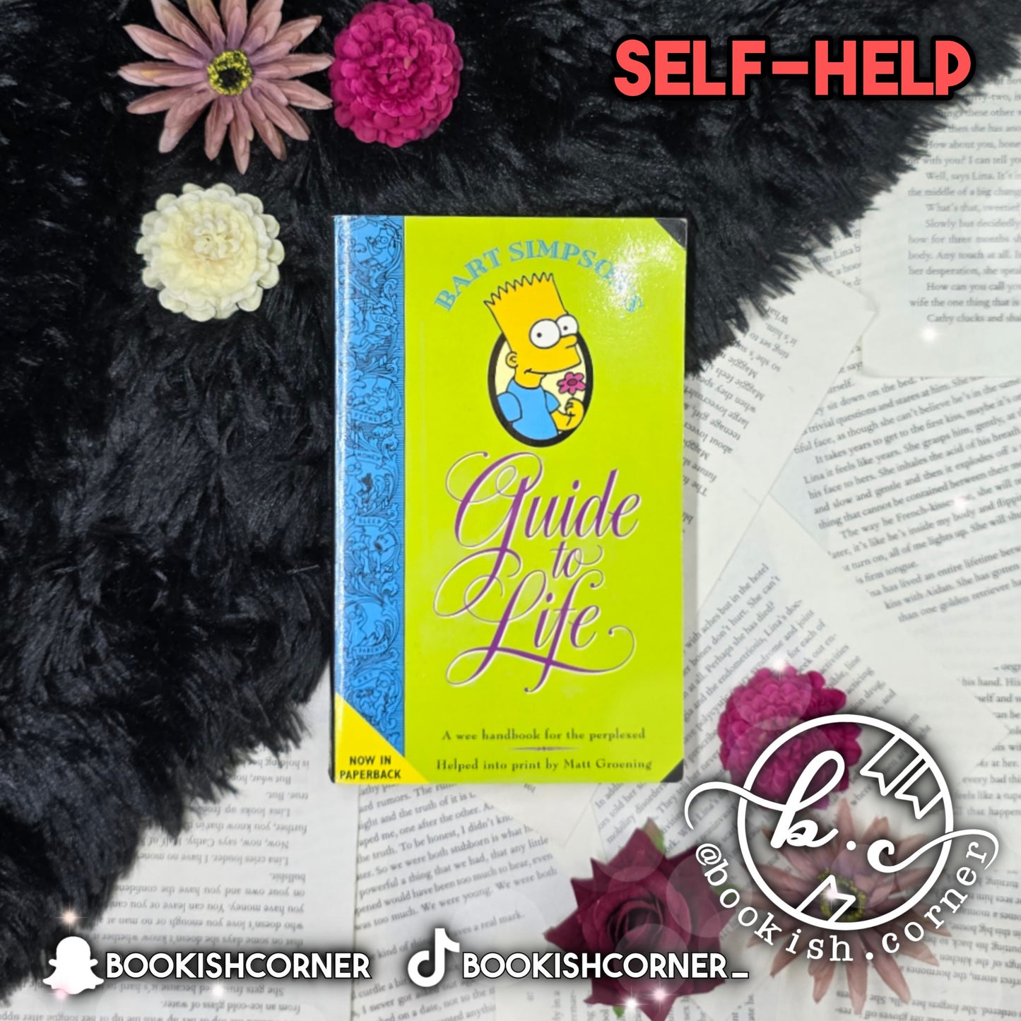 Bart Simpson's Guide To Life By Matt Groening