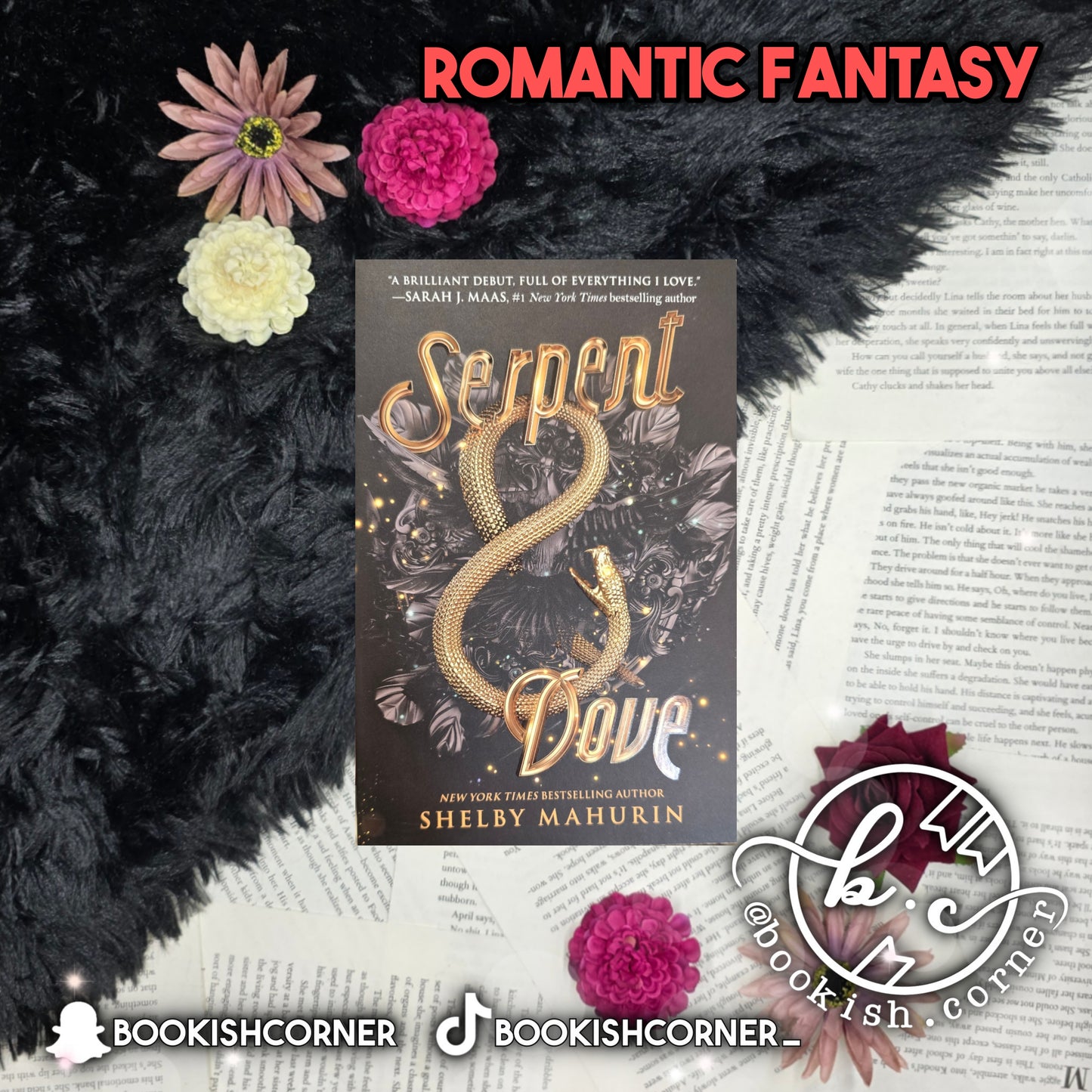 Serpent And Dove By Shelby Mahurin