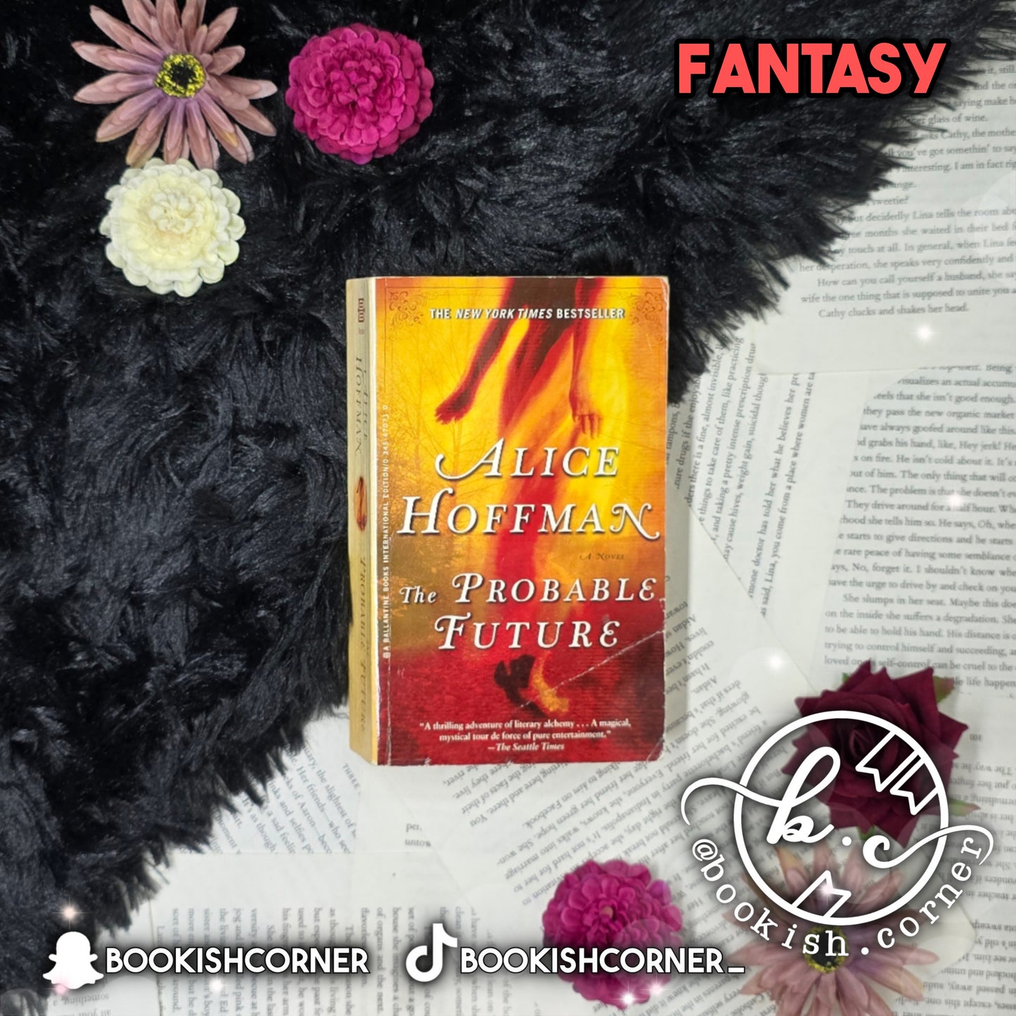 The Probable Future By Alice Hoffman