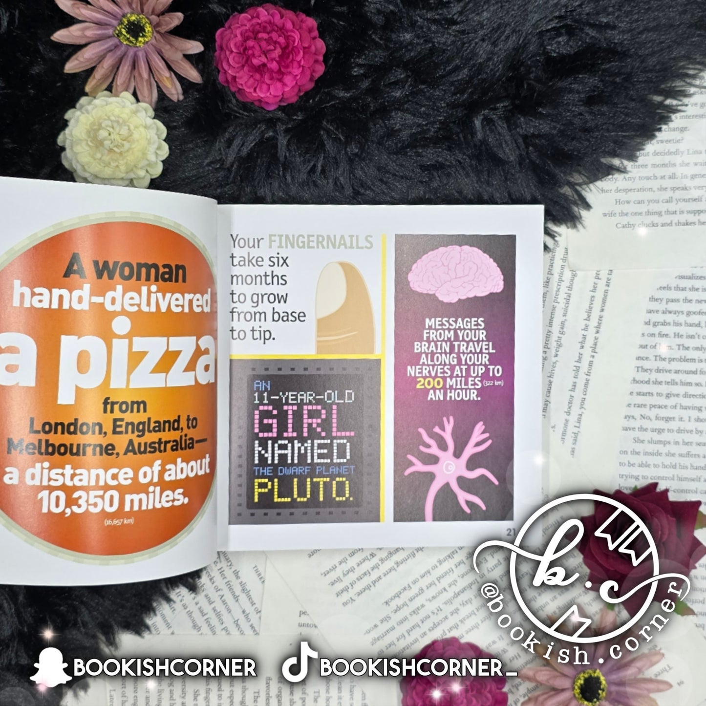 Weird But True 300 Outrageous Facts (8 books)