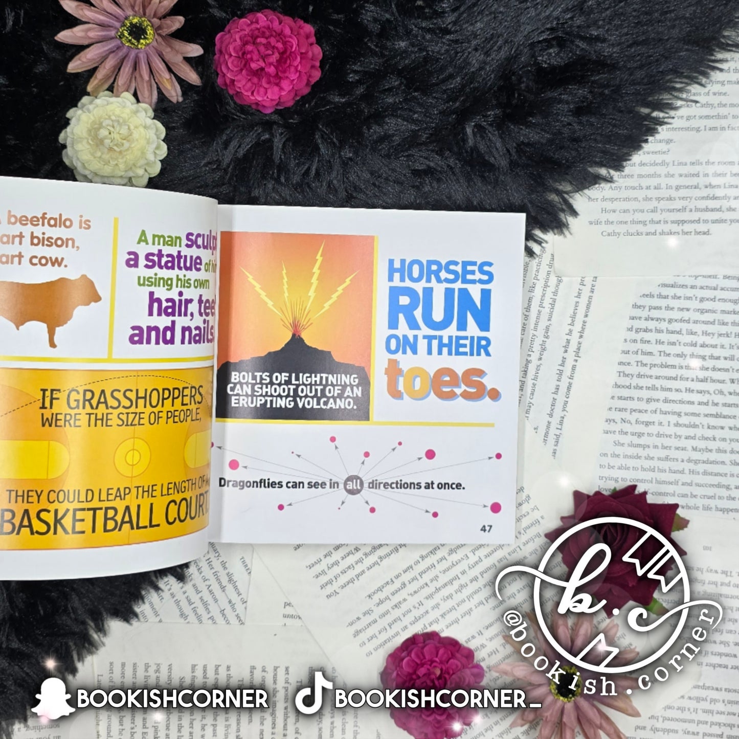 Weird But True 300 Outrageous Facts (8 books)