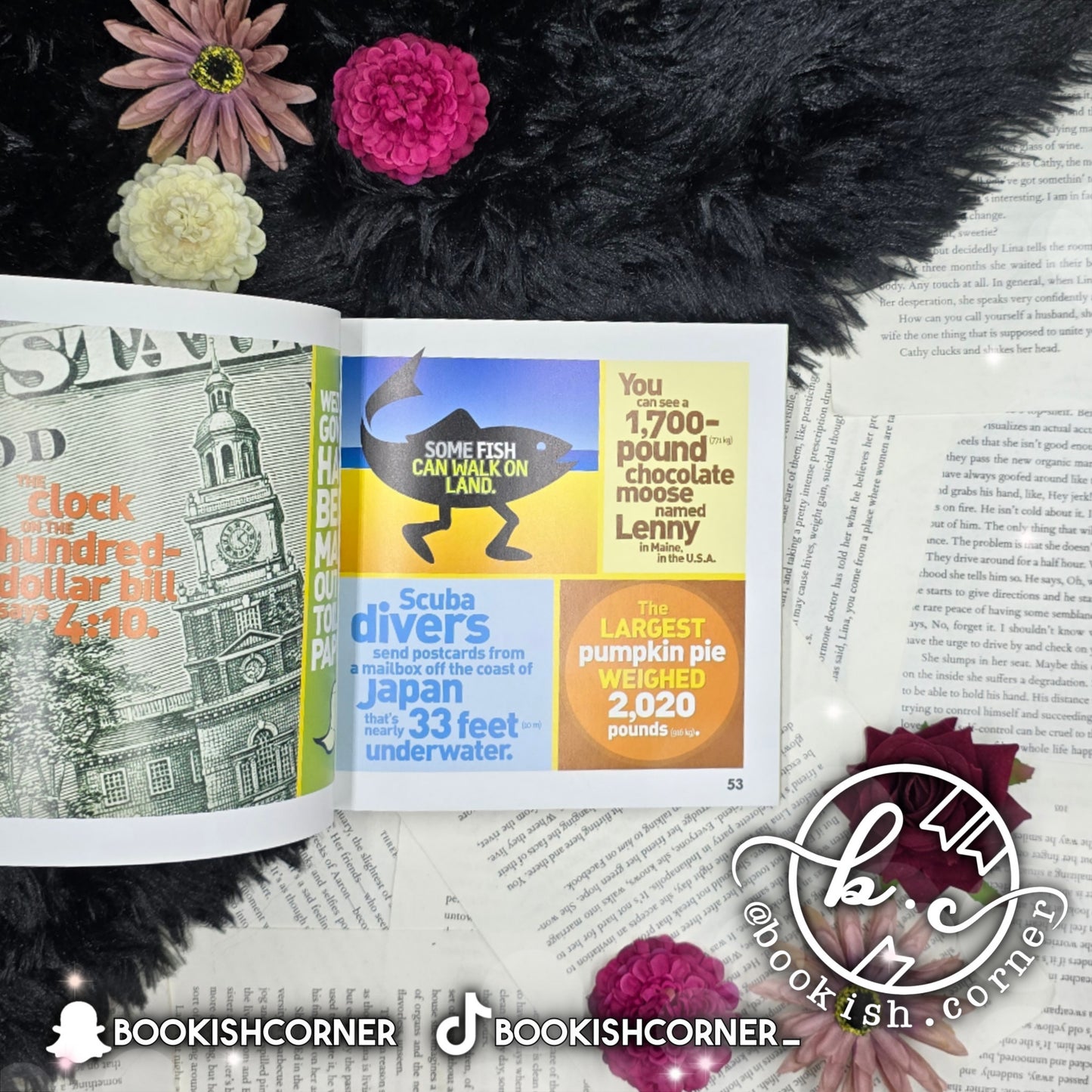 Weird But True 300 Outrageous Facts (8 books)