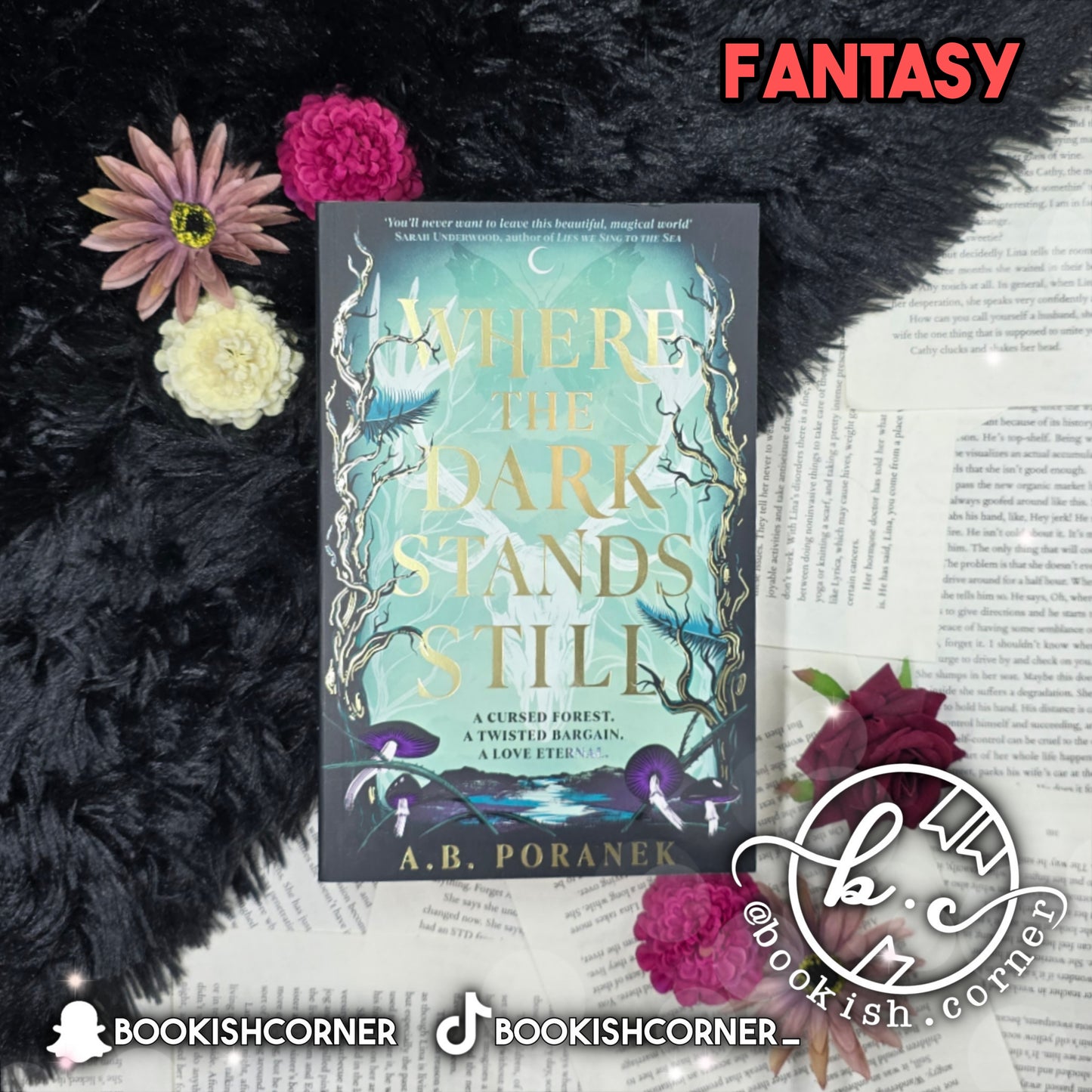 Where The Dark Stands Still By A B Poranek