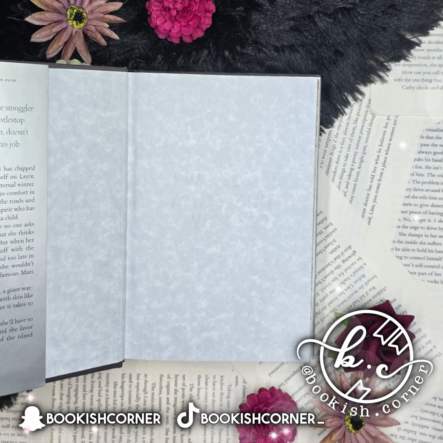 Winter White And Wicked By Shannon Dittemore