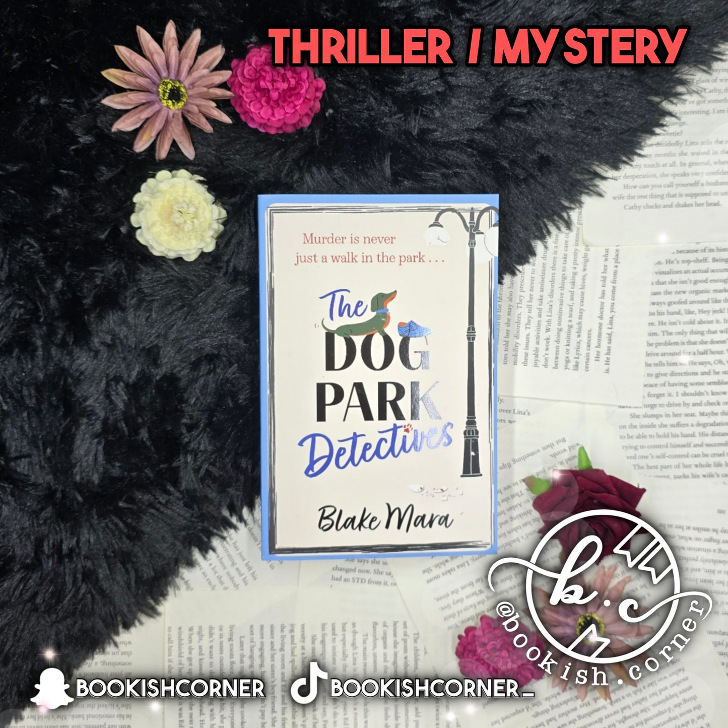 The Dog Park Detectives By Blake Mara