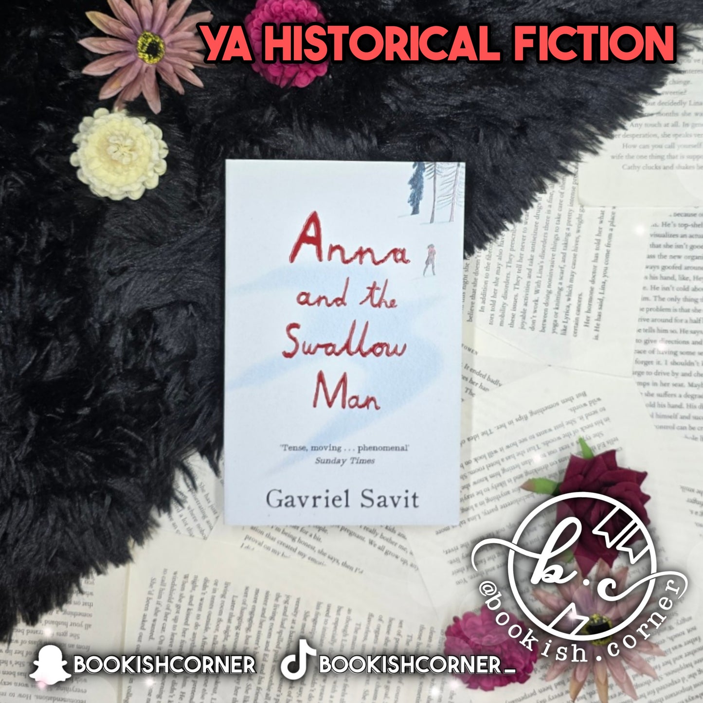 Anna And The Swallow Man By Gavriel Savit